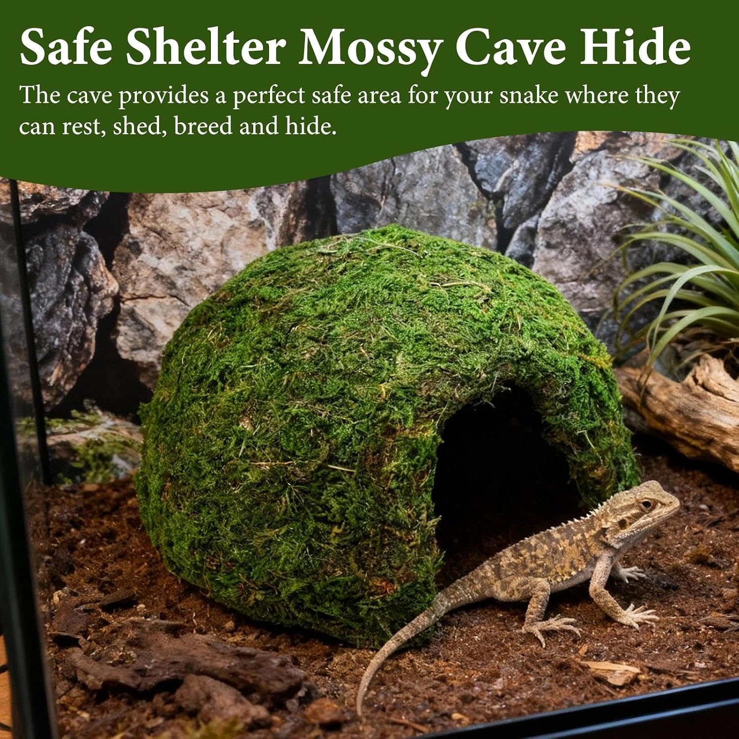 Reptile Moss Hideout, Half Round Cave for Lizards Snakes Frogs | Reptile Moss Hideout, Half-round dome shape, Full moss exterior coverage, Spacious interior room, Stable on all substrates - Image 7