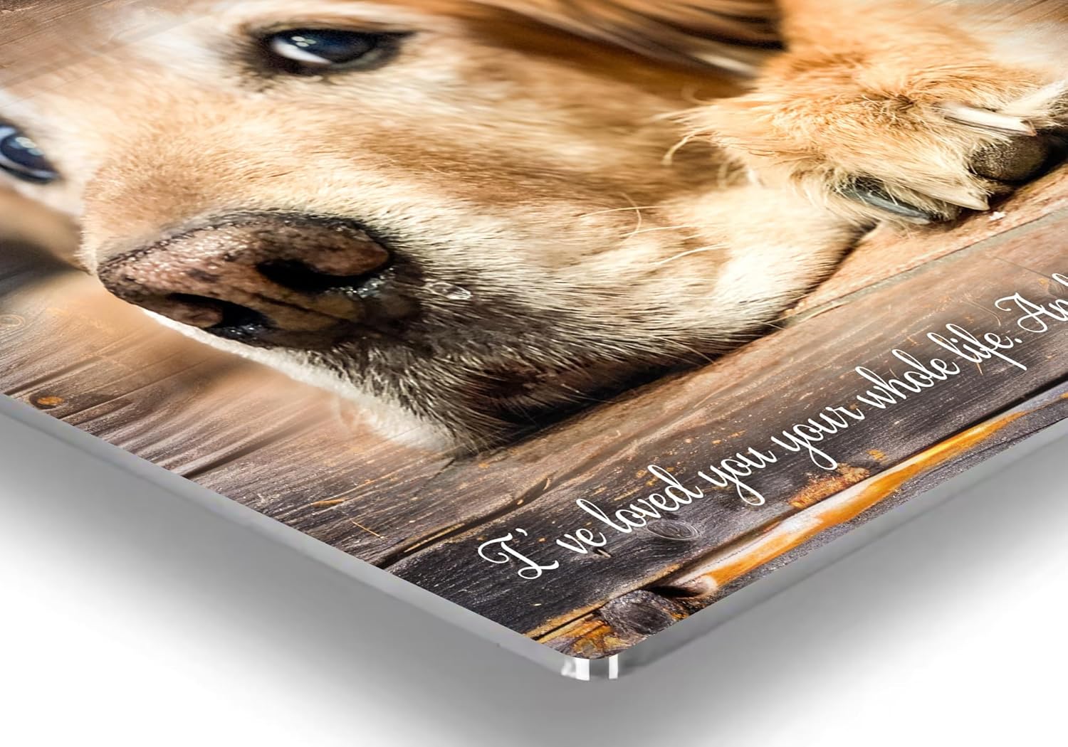 MUNDAZE Custom Pet Portrait Memorial Photo – Personalized Dog or Cat Loss Gift – Glossy Metal Print with Your Pet’s Photo – Sympathy Keepsake – Made and Shipped in USA - Image 5