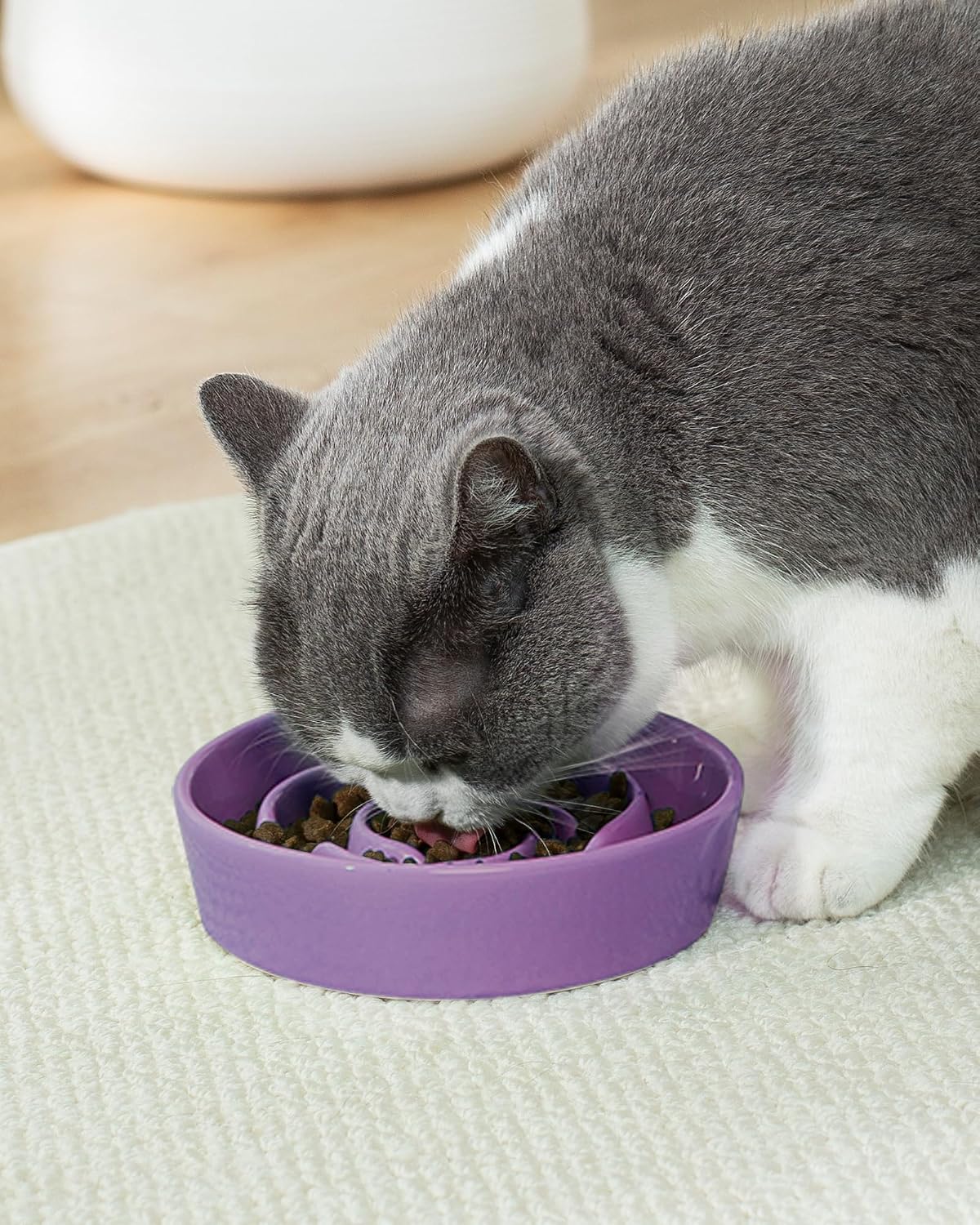 TRUVIC Ceramic Slow Feeder Dog Bowls Small Breed, 0.6 Cup Slow Feeder Cat Bowls for Fast Eaters, Ceramic Dog Food Dish no Black Chin, Puzzle Bowl for Small Dogs and Cats, Purple - Image 2