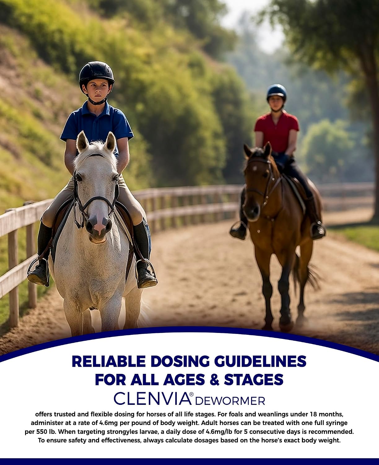 Horse Paste 10% – 4 Pack – 25g Syringes – Oral Deworming Paste for Horses of All Ages – Easy-to-Administer Equine Care - Image 6