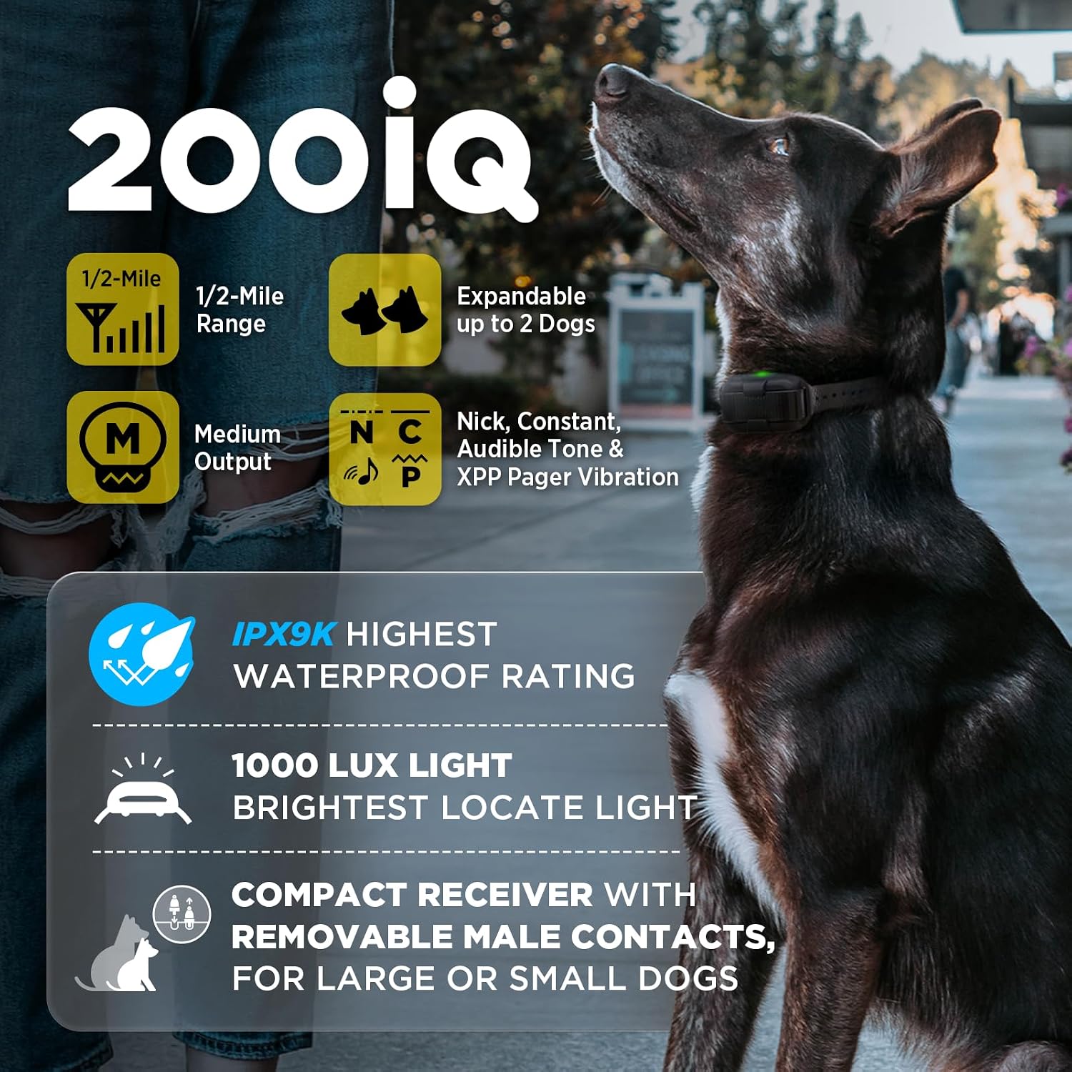 Dogtra 200iQ Professional Remote Training E Collar - 1/2 Mile, 100 Precision Levels, IPX9K Waterproof, Tone & Vibration – Seamless No-Look Control Off-Leash Confidence for Dogs 10lb+ - Image 7