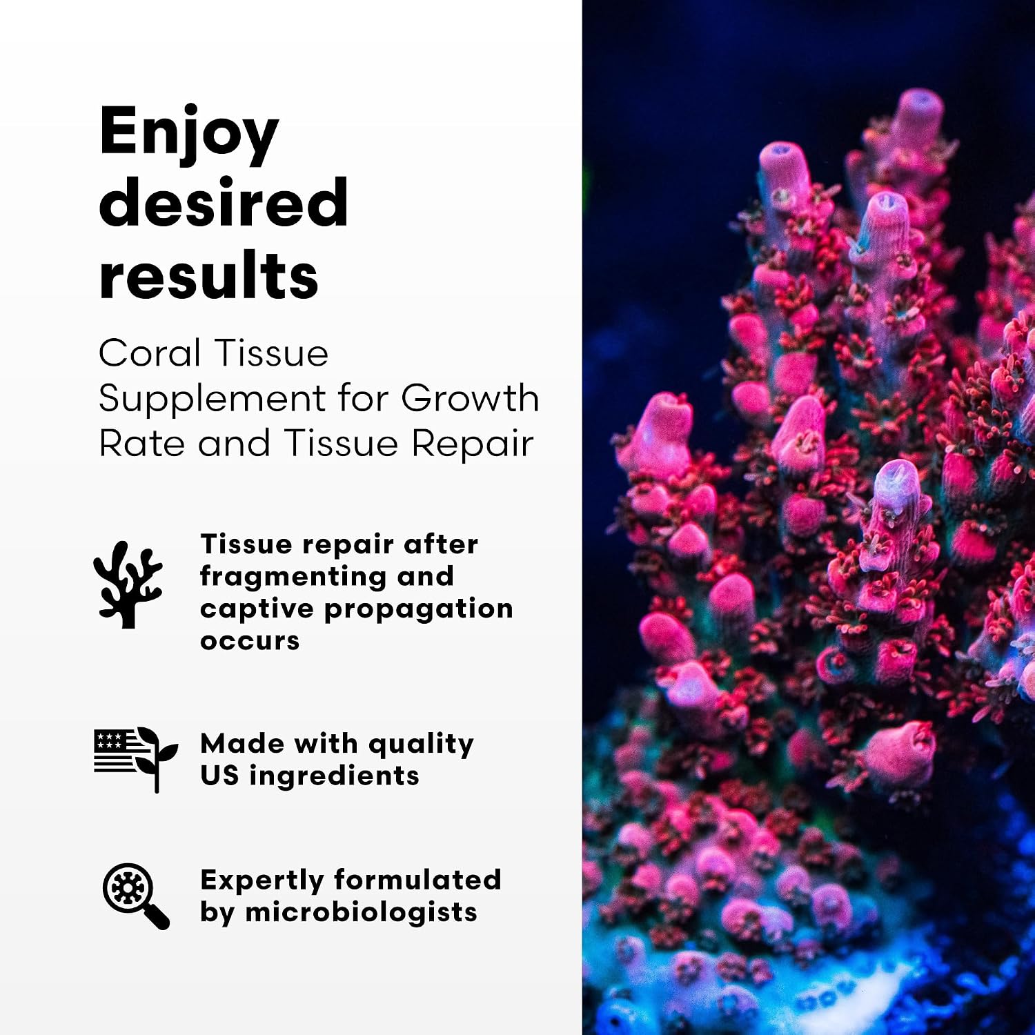Brightwell Aquatics Restor Coral Recovery Supplement for Reef Tanks, 250 ml - Image 3