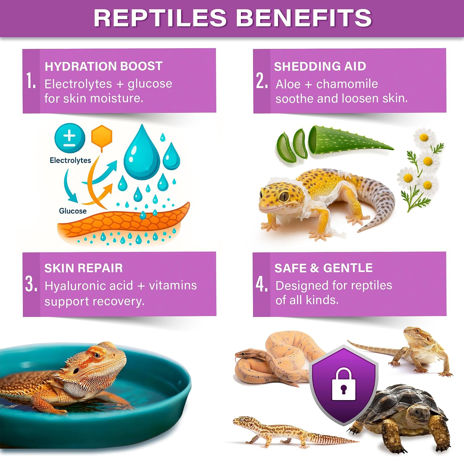 Gargeer 4oz Electrolytes Bath Powder for Reptiles. USA Made Hydration Aid | Restores fluid balance & energy! Therapeutic bath powder with magnesium, sodium & potassium for post-laying or illness - Image 3