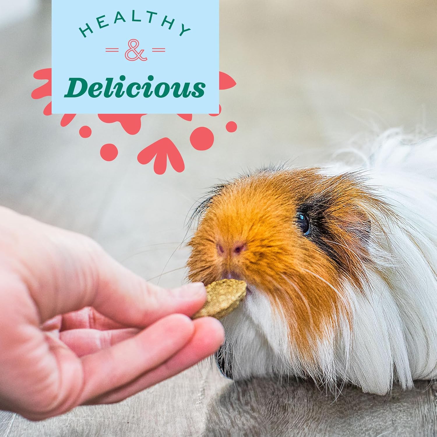 Oxbow Natural Science Vitamin C Supplement, Vitamin C & High-Fiber Timothy Hay, Guinea Pig Items, Made in the USA, Small Pet Supplies, Recommended by Veterinarians, 4.2 oz - Image 4