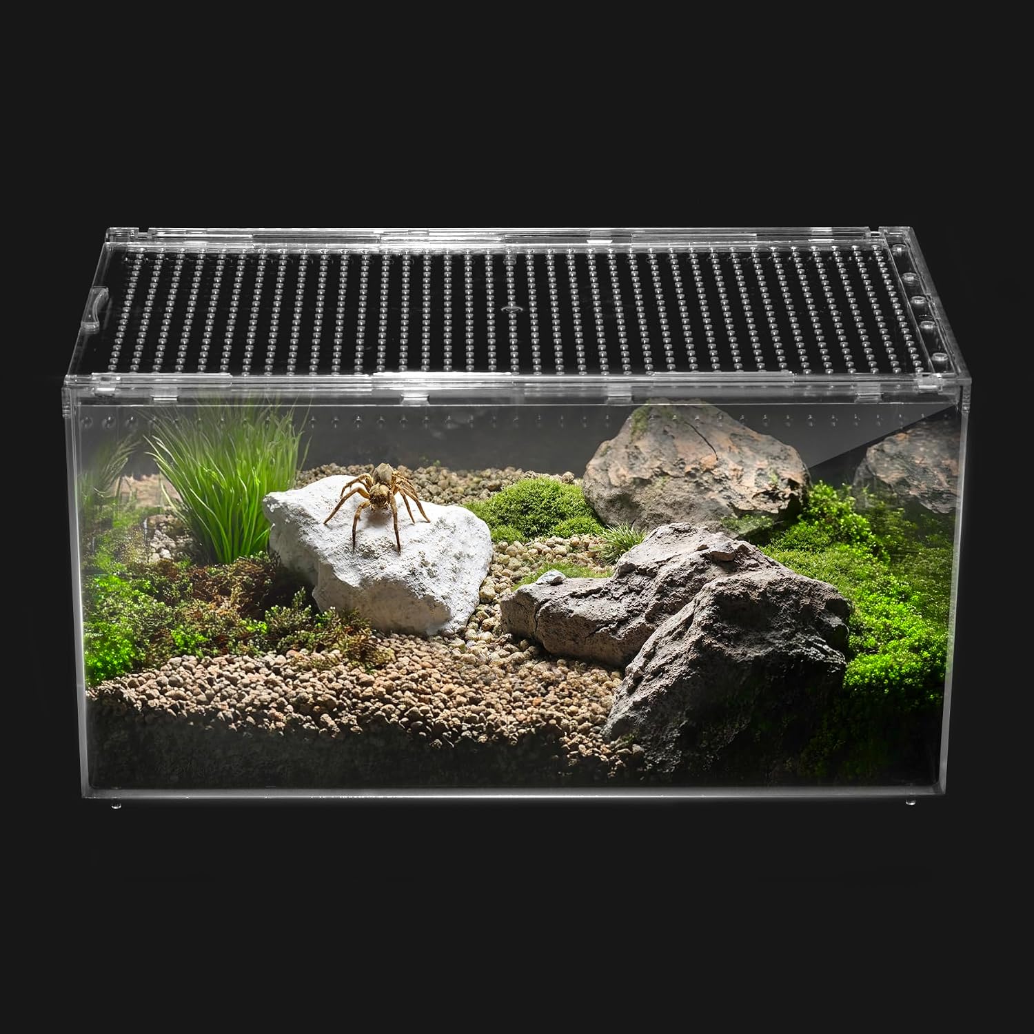 Reptile PC Tank,Escape Proof Magnetic Lid Tarantula Enclosure Large | Easy Clean Seamless Base Hermit Crab Habitat,Stackable Isopod Terrarium,Cross Ventilation Spider Starter Cage,Frog Container
