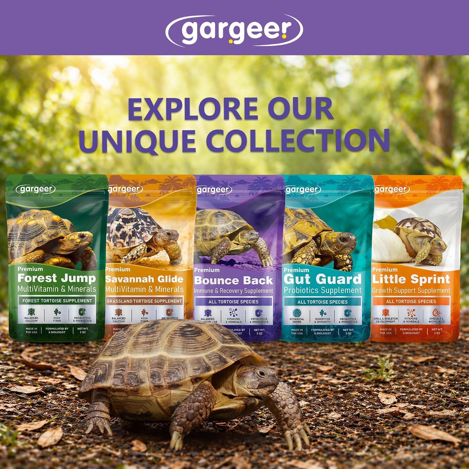 Gargeer Bounce Back Tortoise Immune & Recovery Support Powder Supplement 3oz, Electrolytes, Vitamin C & Immune Support for Sulcata, Red Foot & All Tortoise Species. Made in the USA. Enjoy! - Image 6