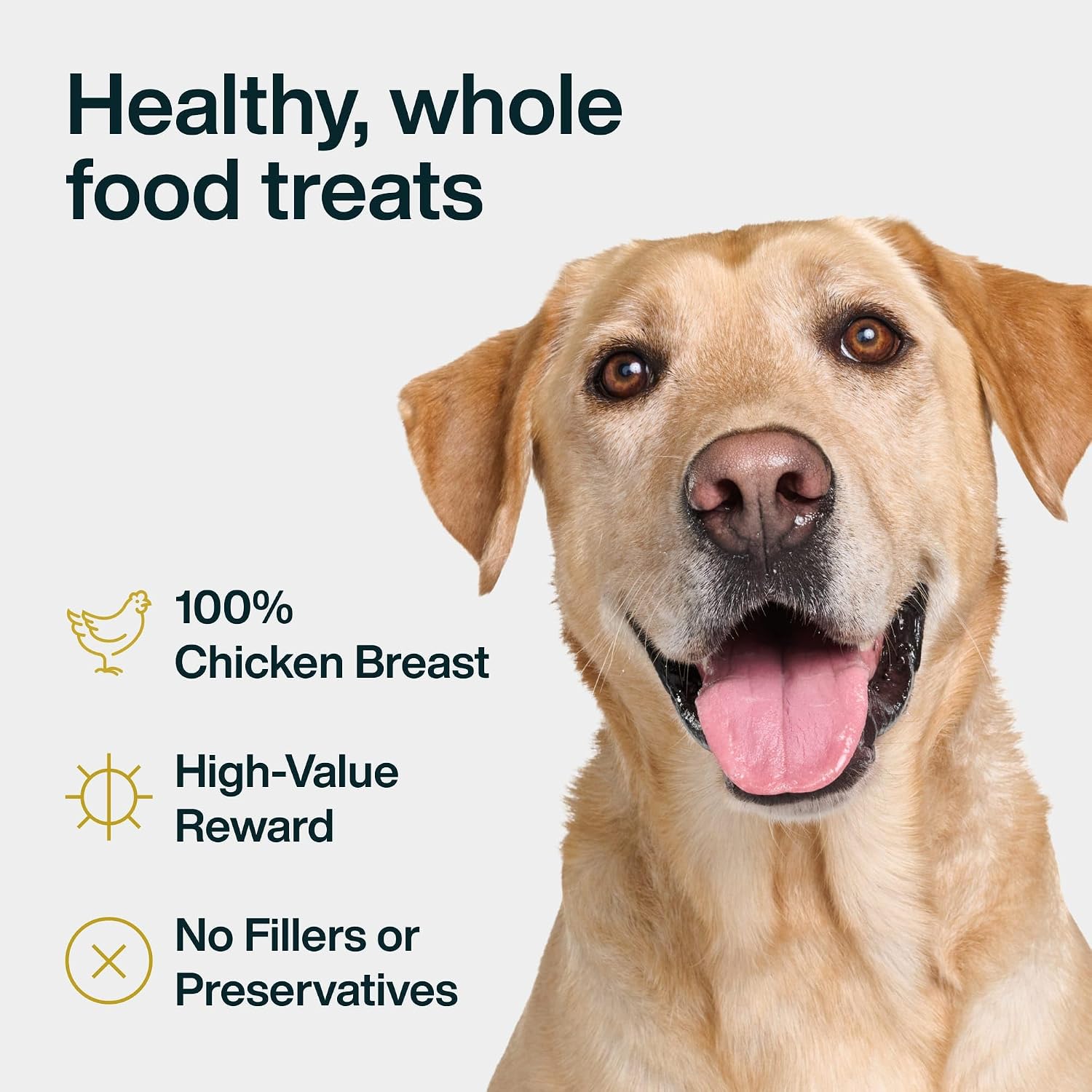 Just Food for Dogs Single Ingredient Healthy Dog Treats and Dog Snacks, Jerky Treats, Human Grade, Preservative and Grain Free, Rawhide Free Chews, Low Calorie Treat - Chicken Breast, 5 oz - Image 4