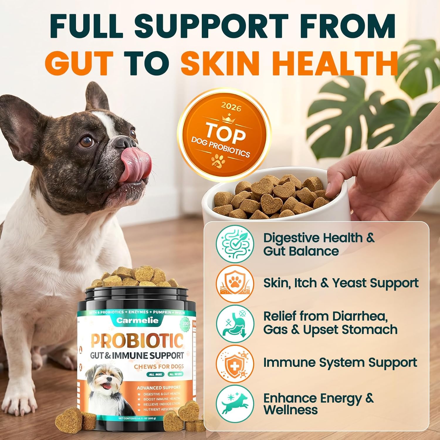 Probiotics for Dogs, Dog Probiotics for Yeast, Itchy Skin and Itchy Ears, Allergies, Immunity, Dog Gut Health Probiotic for Digestive Enzymes & Prebiotics for Diarrhea & Gas Relief (Chicken, 200 Chew) - Image 2