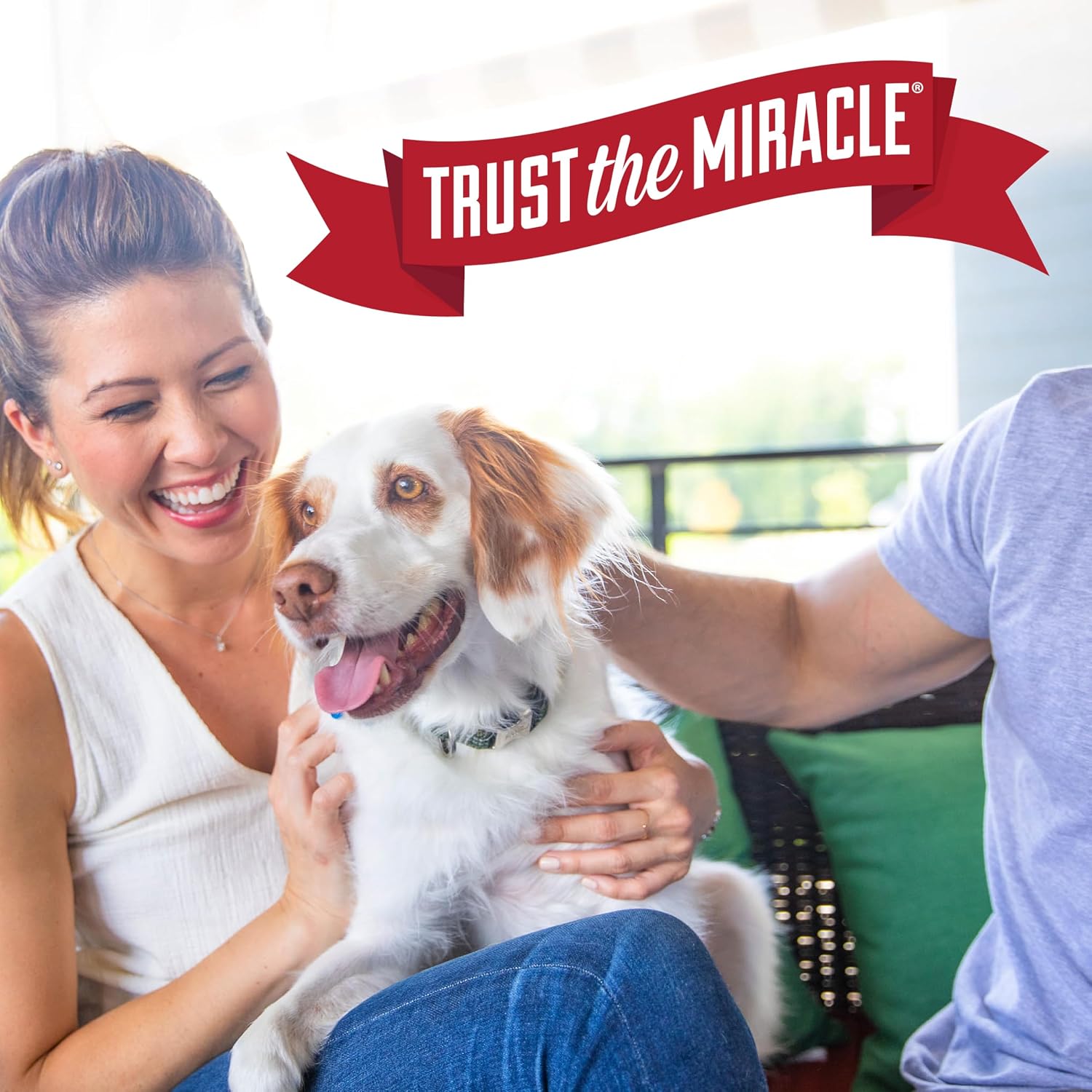 Nature’s Miracle Stain and Odor Remover Dog, 32 Ounces, Everyday Mess Enzymatic Odor Control Formula - Image 10