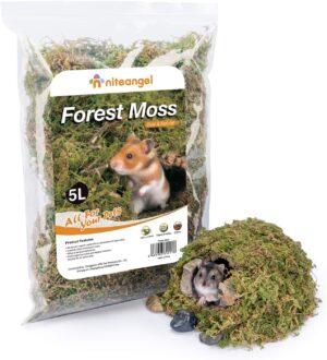 Niteangel 5L Forest Moss Soft Natur...
