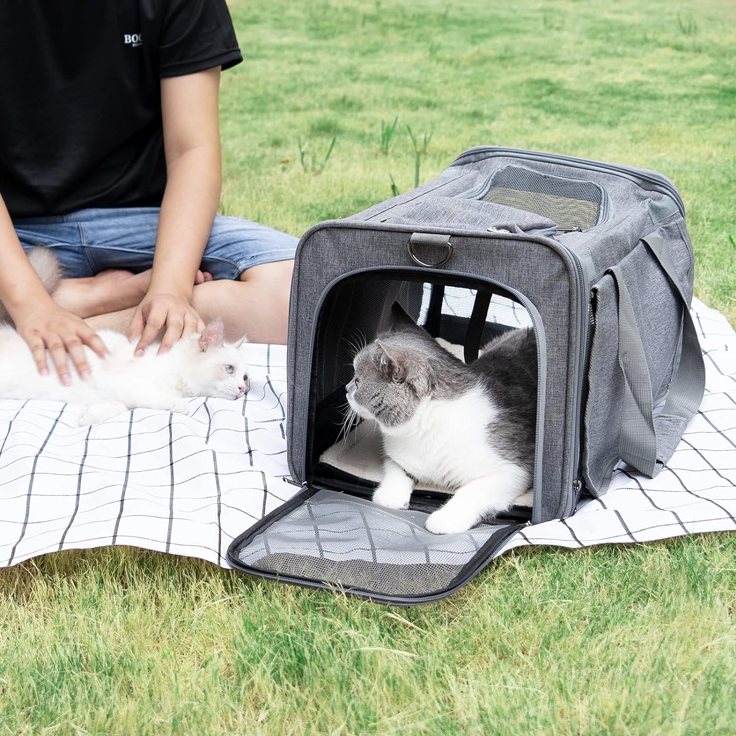 GAPZER Pet Carrier for Large Cats, Soft-Sided Cat Carrier for Medium Big Cats and Puppy up to 20lbs, Washable Dog Carrier Privacy Protection for Home Outdoor Travel - Image 6