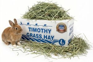 High Desert 1st Cut Timothy Hay for...