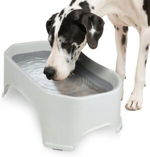 Neater Pet Brands Extra Large Water...