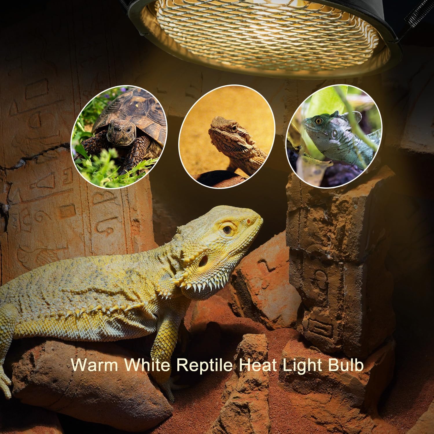 G9 Reptile Heat Lamp Bulb and Light Fixture with Safety Mesh, G9 Mini Heat Bulb 50W Warm White, UVA Reptile Heat Lamp and Basking Lampshade for Bearded Dragon Gecko Turtle Lizard Snake - Image 3