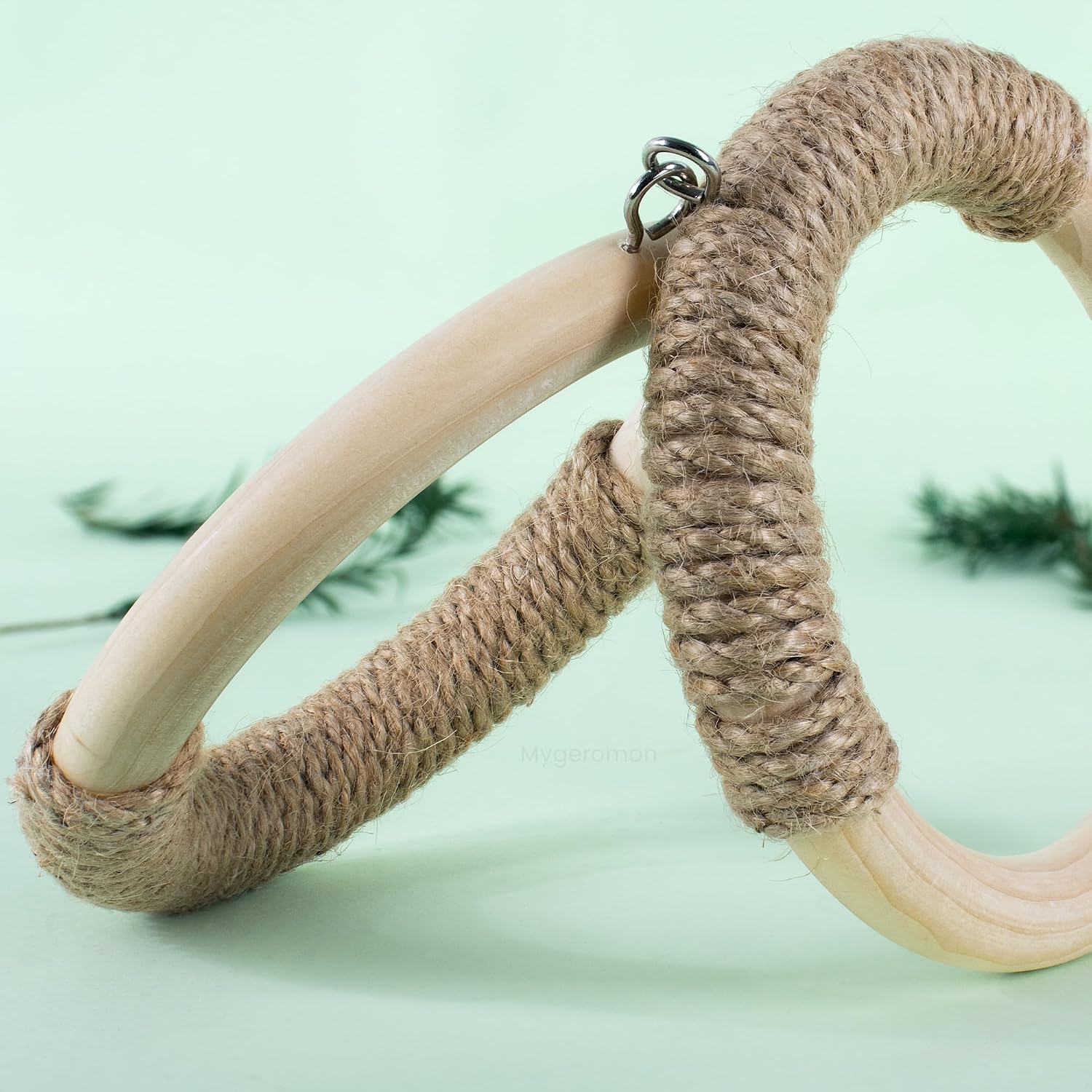 Mygeromon Sugar Glider Toys Climbing Ring Cage Accessories Squirrel Rat Wood Hanging Enrichment Supplies - Image 5