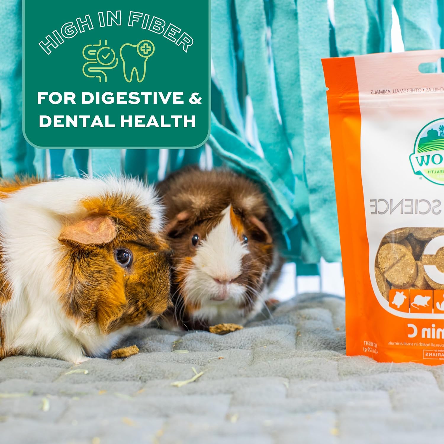 Oxbow Natural Science Vitamin C Supplement, Vitamin C & High-Fiber Timothy Hay, Guinea Pig Items, Made in the USA, Small Pet Supplies, Recommended by Veterinarians, 4.2 oz - Image 9