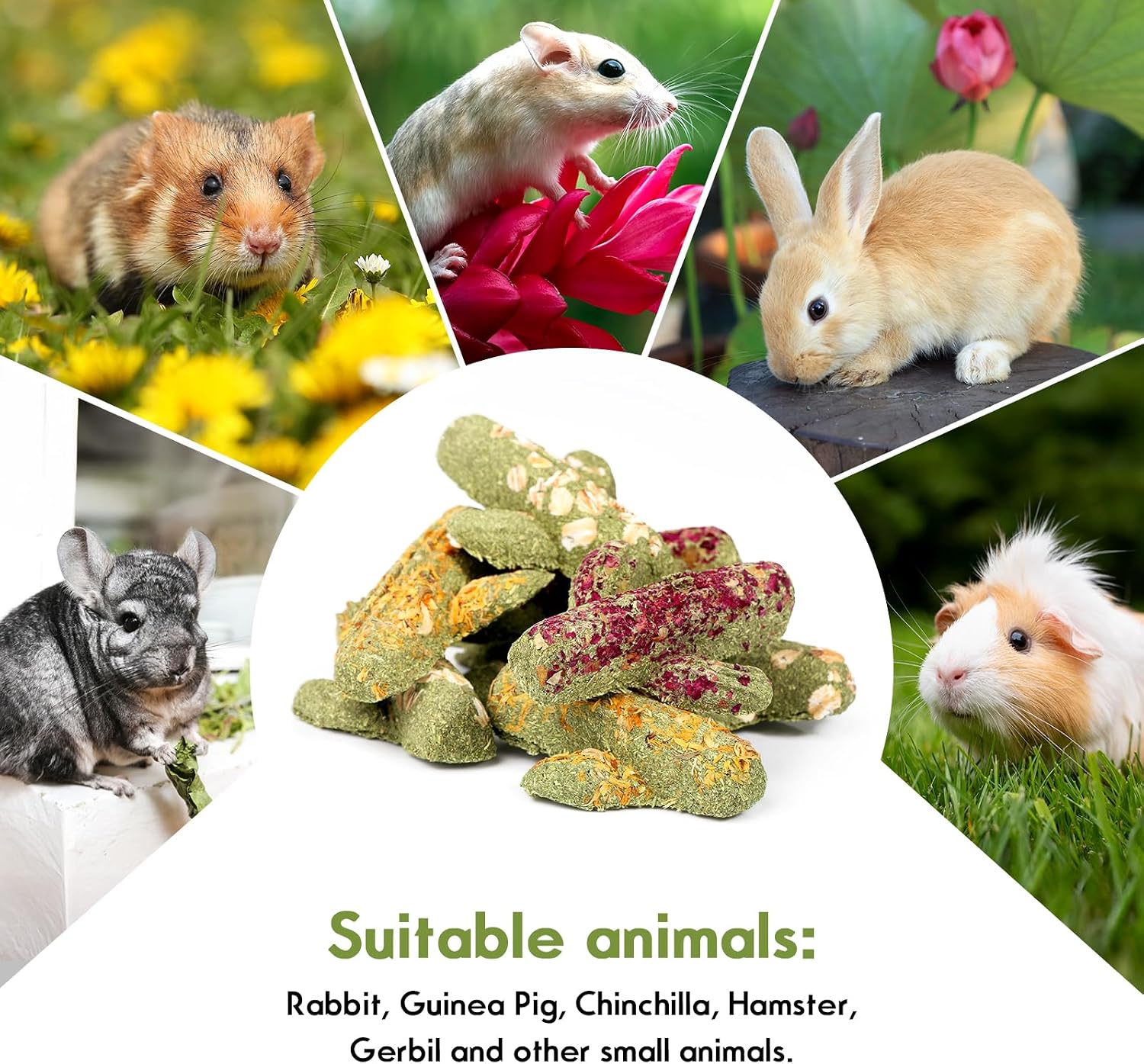 Abizoo Rabbit Chew Toys Natural Timothy Hay Oat Bunny Treats Snack Bunny Chew Sticks 9 Pcs Compressed Cactus Bunnies Enrichment Toys for Rabbit Guinea Pig Hamster Chinchilla Gerbil Dental Care - Image 9