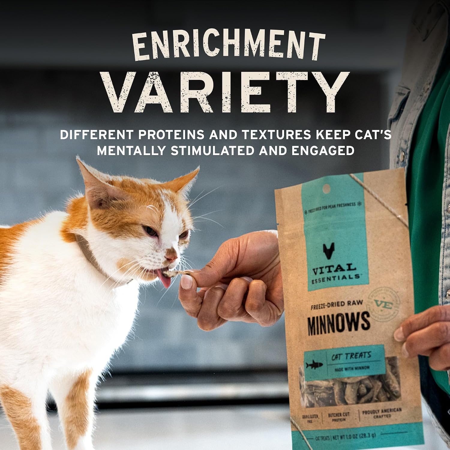 Vital Essentials Freeze Dried Minnows Cat Treats | Single Ingredient | Premium Quality | Grain Free, Healthy Treats for Cats, 1 oz Bag - Image 6