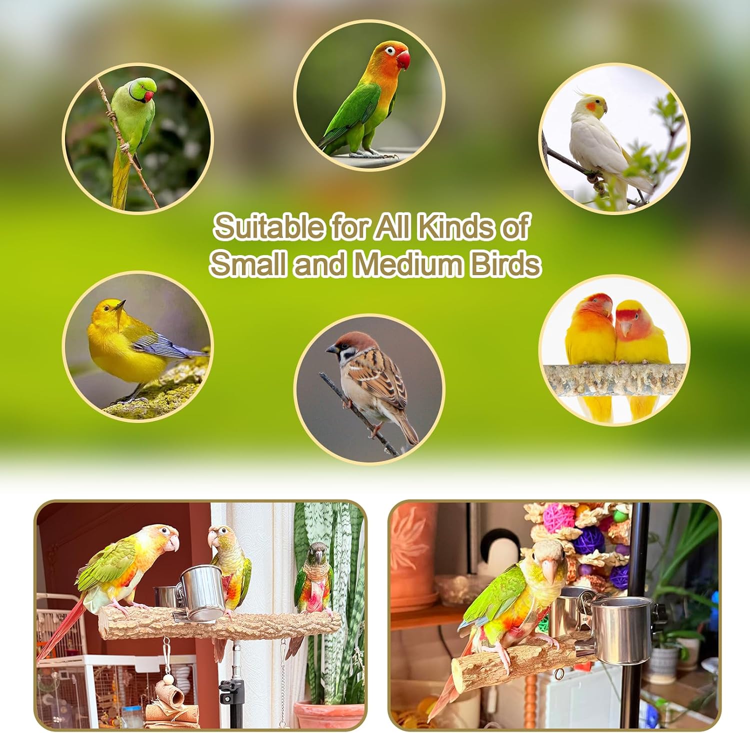 3-Layer 16-63 Inch Height Adjustable Bird Perch Pepper Wood Birds Training Perch Stand Parakeet Perches Indoor and Outdoor Parrot Stands for Small to Medium Bird - Image 7