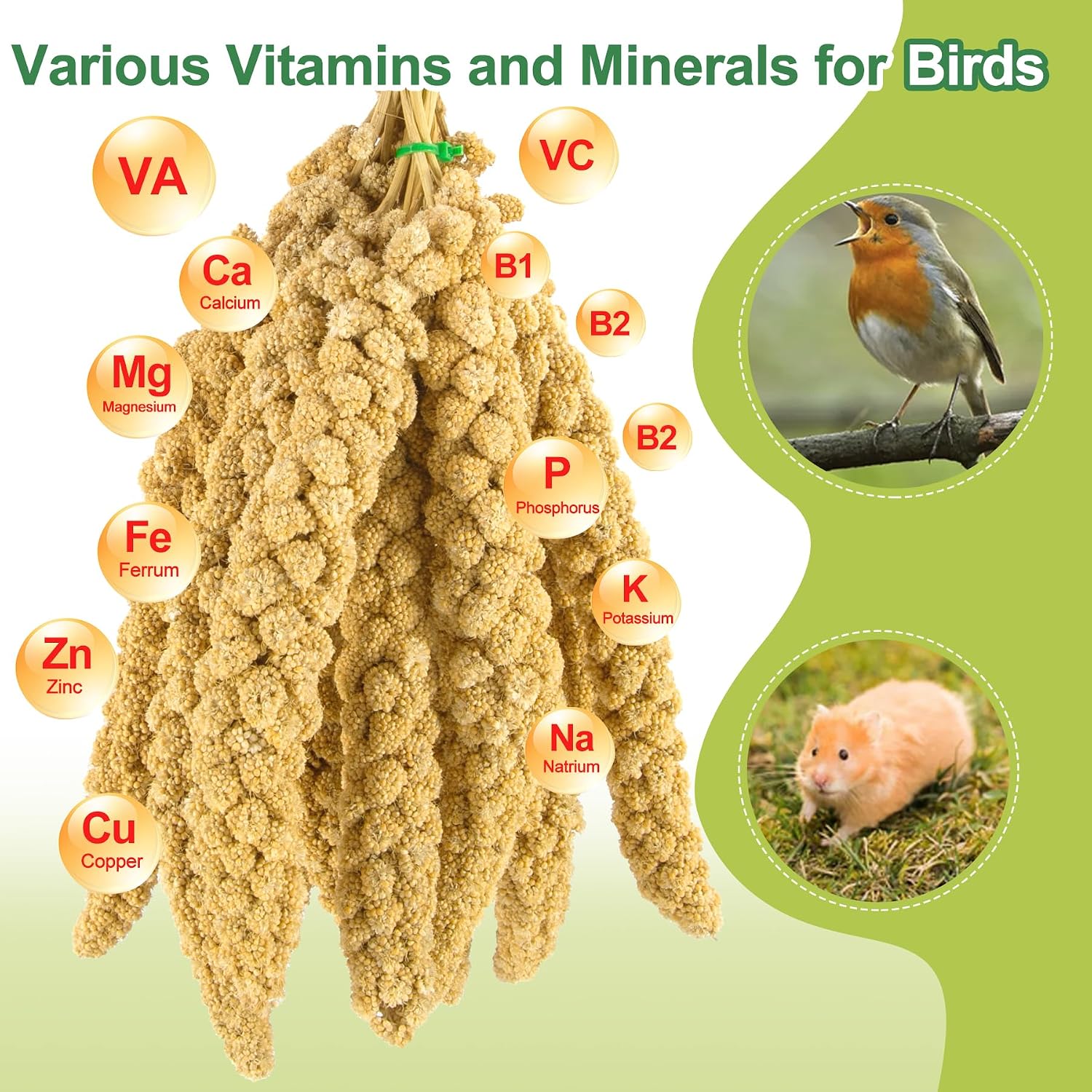 2LB Spray Millet Bird Treat for Parakeets, Natural Sun-Dried Birds Millet Spray for Parrots, Finches, Cockatiel, Budgie & Hamster, Bird Food Bulk - Image 3