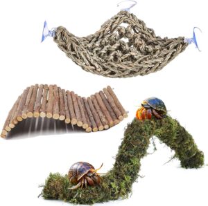 HERCCOCCI Hermit Crab Accessories, ...