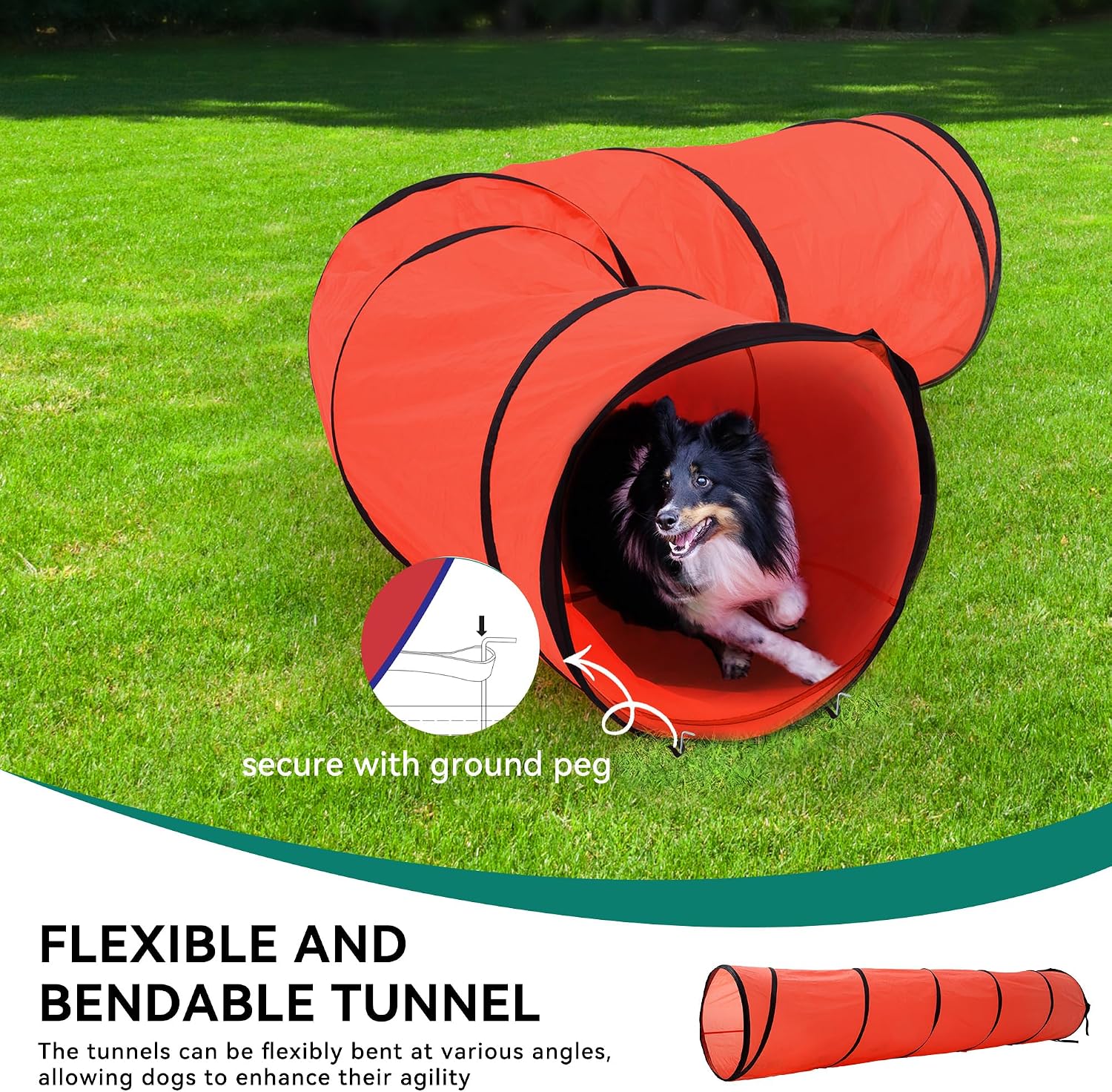 DWVO Dog Agility Accessories Kit: Comprises of a Teaser Pole, 2 Hurdles, 6 Weaving Poles, Agility Tunnel, Pause Box, Full Set of Agility Equipment for Backyard Indoors Outdoors - Image 3