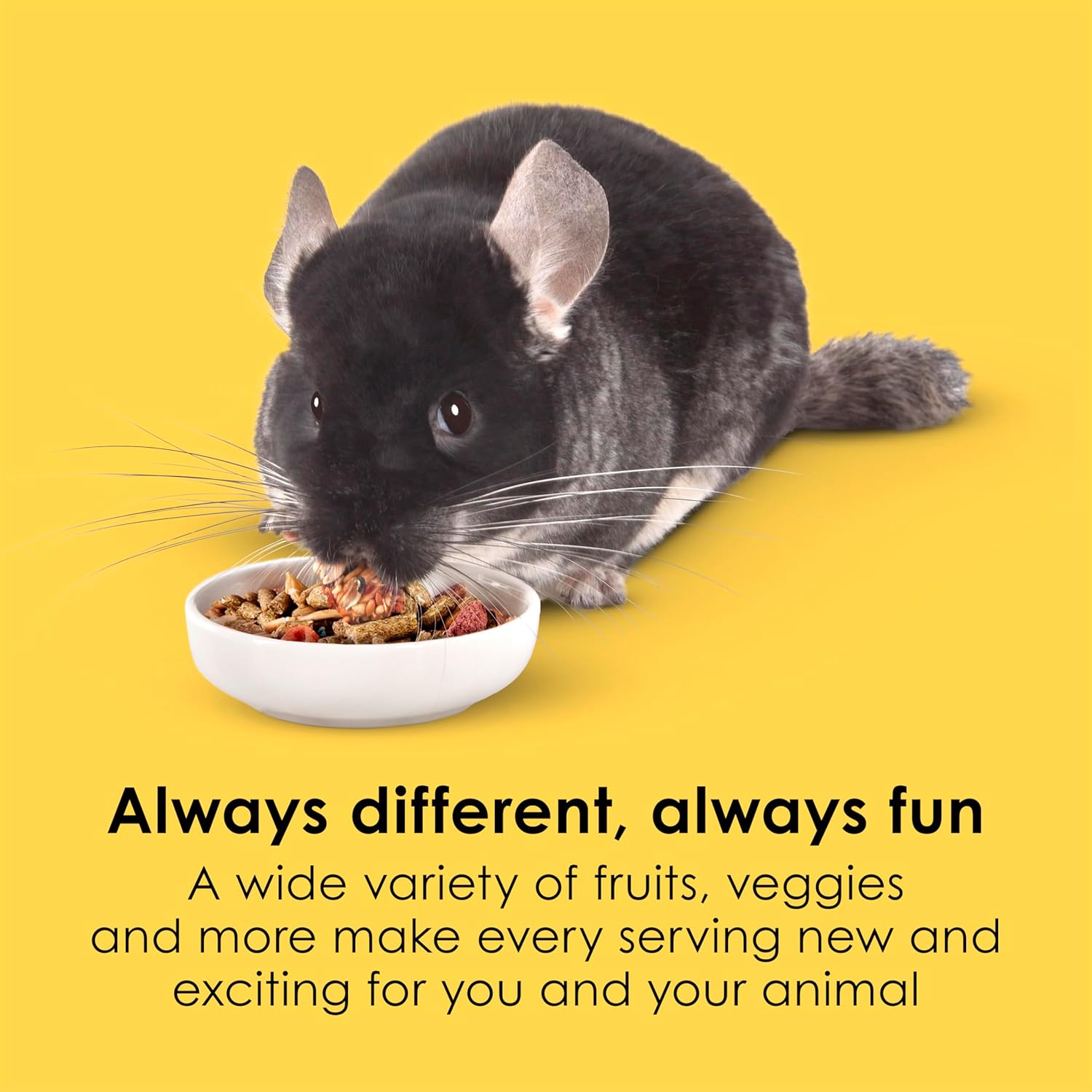 Kaytee Fiesta Chinchilla Food, Nutritious and Fun Blend, Supports Dental Health and Digestion, 2.5 pounds - Image 3