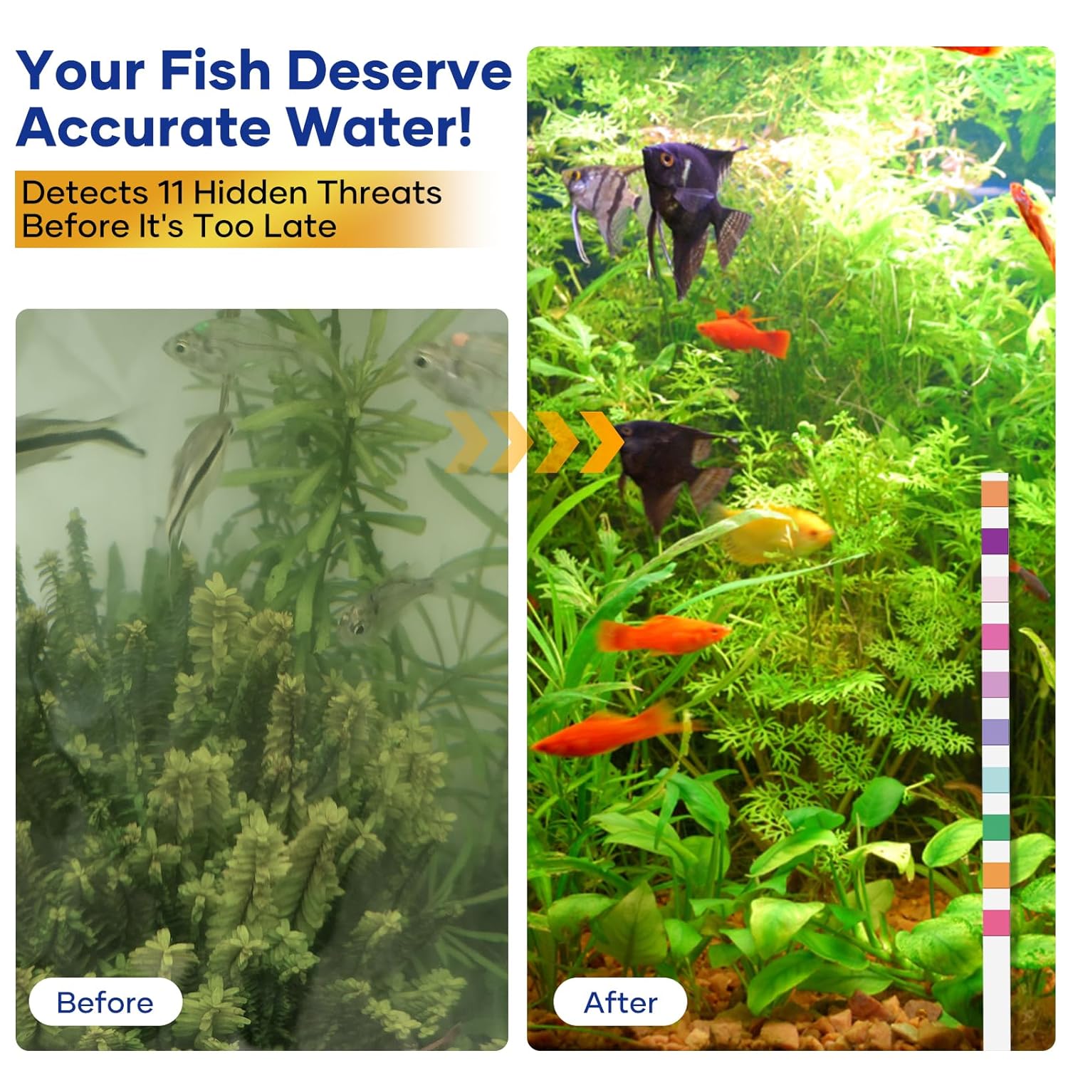 11 in 1 - Aquarium Test Strips | 950 Tests - 150 Strips | Fish Tank Aquariums Water Test Kit & ebook | Aquarium Thermometer | Fish Tank Water Testing Kit Includes 50 Ammonia Strips | Versatile Usage - Image 5