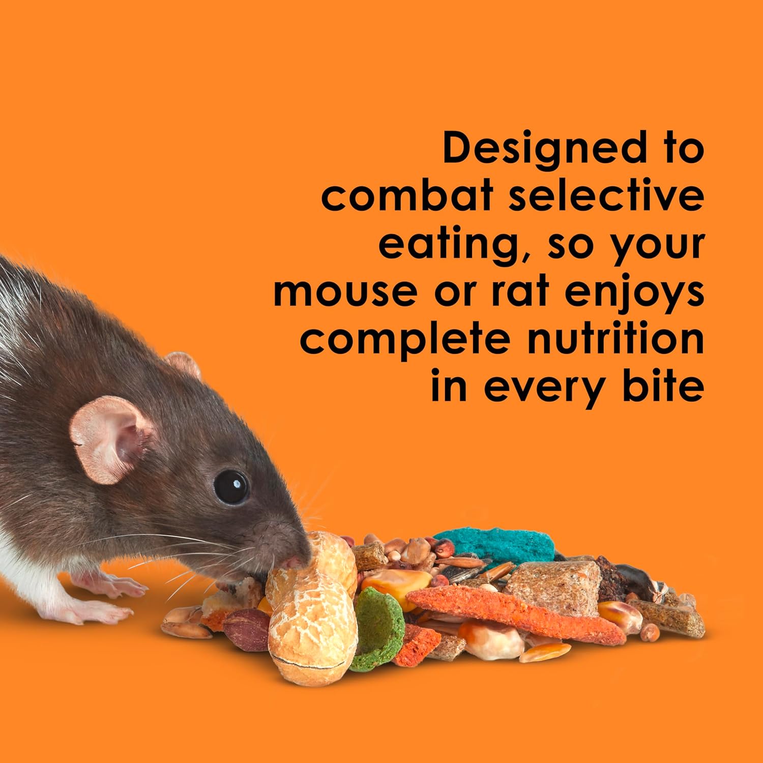 Kaytee Fiesta Mouse & Rat Food, Nutritious and Fun Blend, Supports Dental Health and Digestion, 2 pounds - Image 4