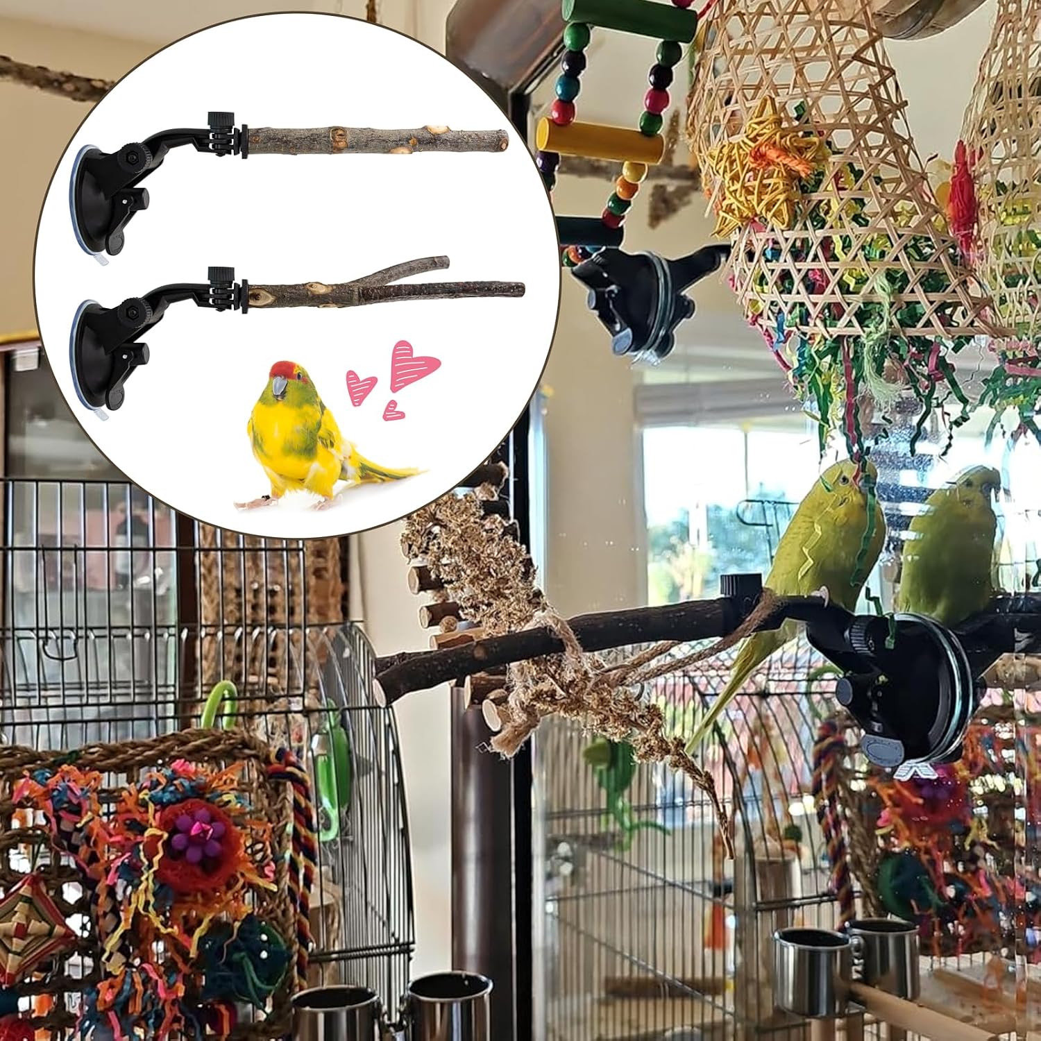 2 Pcs Parrot Perch Stand, Strong Suction Cup Bird Perch, Movable Perch Stand Bird Training Set, for Window Mirror Car Shower Ceramic Tiles Bath Wood Training Perch, for Bird, Cockatoo, Macaw, Parakeet - Image 6