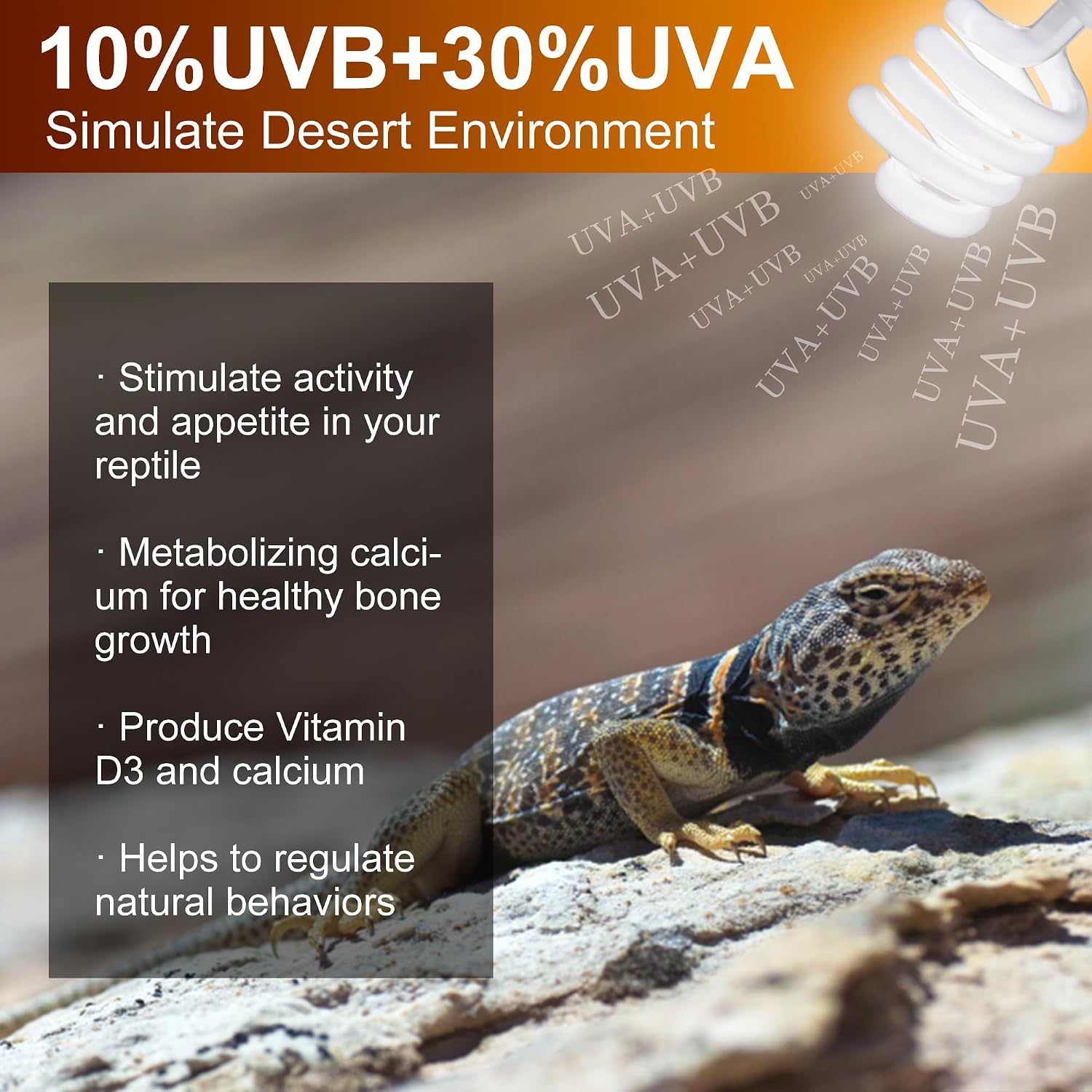 UVB Reptile Light Bulb 10.0, 23W UV Spiral Compact Florescent Terrarium Lamp Ideal for Desert Reptiles Bearded Dragons Lizard Tortoise Iguanas Chameleons Snake - 2 Pack - Image 3
