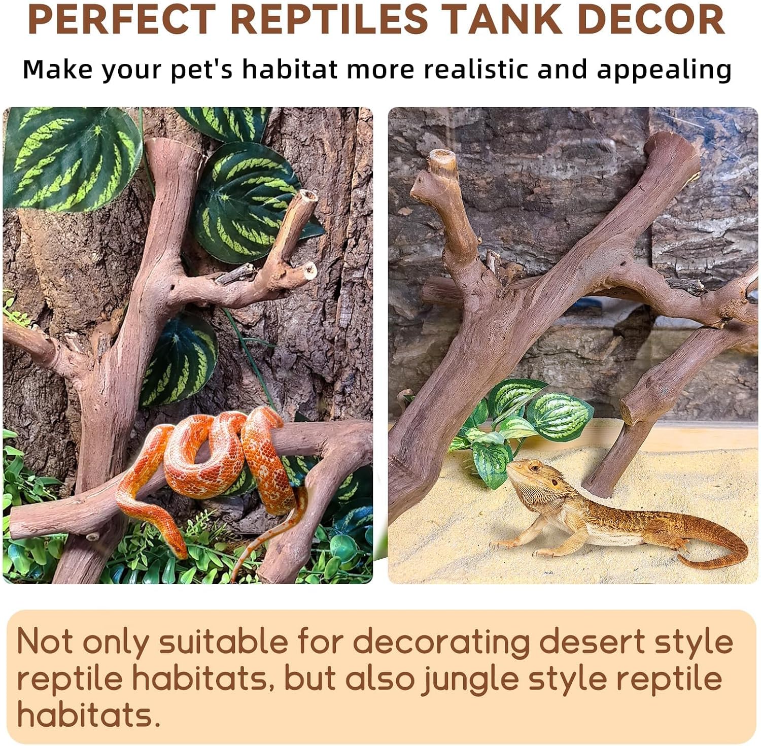 BNOSDM 2PCS Reptile Wood Branches Decor,Lizard Habitat Natural Wood Decoration,Snake Climbing Branch Accessories,Terrarium Tree Trunk Ornament for Bearded Dragon Gecko Frog Chameleon Spider - Image 5