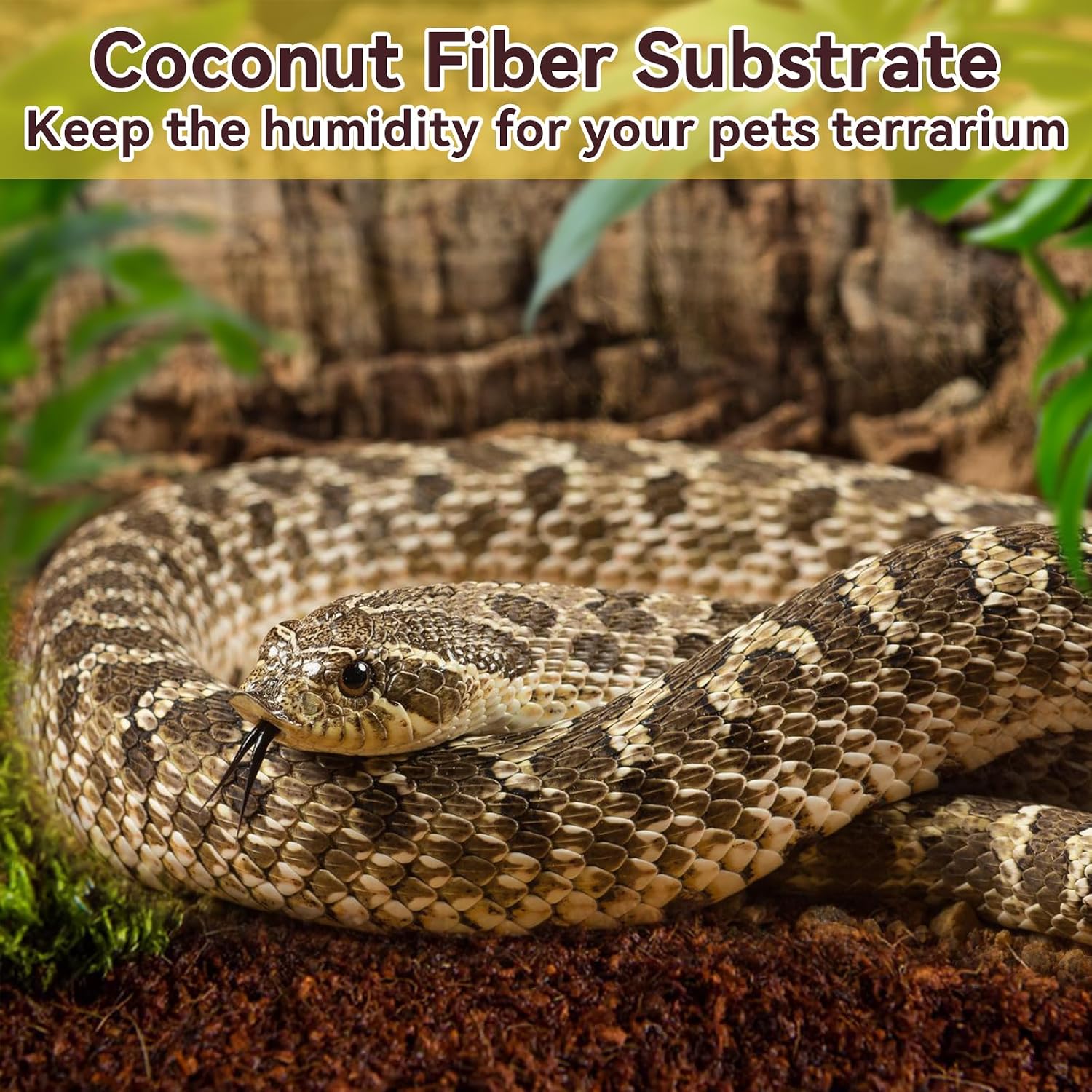 Legigo 8 Pack Coconut Fiber Substrate, Natural Coco Coir Bedding for Reptiles Turtles, Tortoises, Snake, Hermit Crab, Gecko, Lizard, Bioactive Terrarium Soil for Humidity Control and Plant Substrate - Image 7