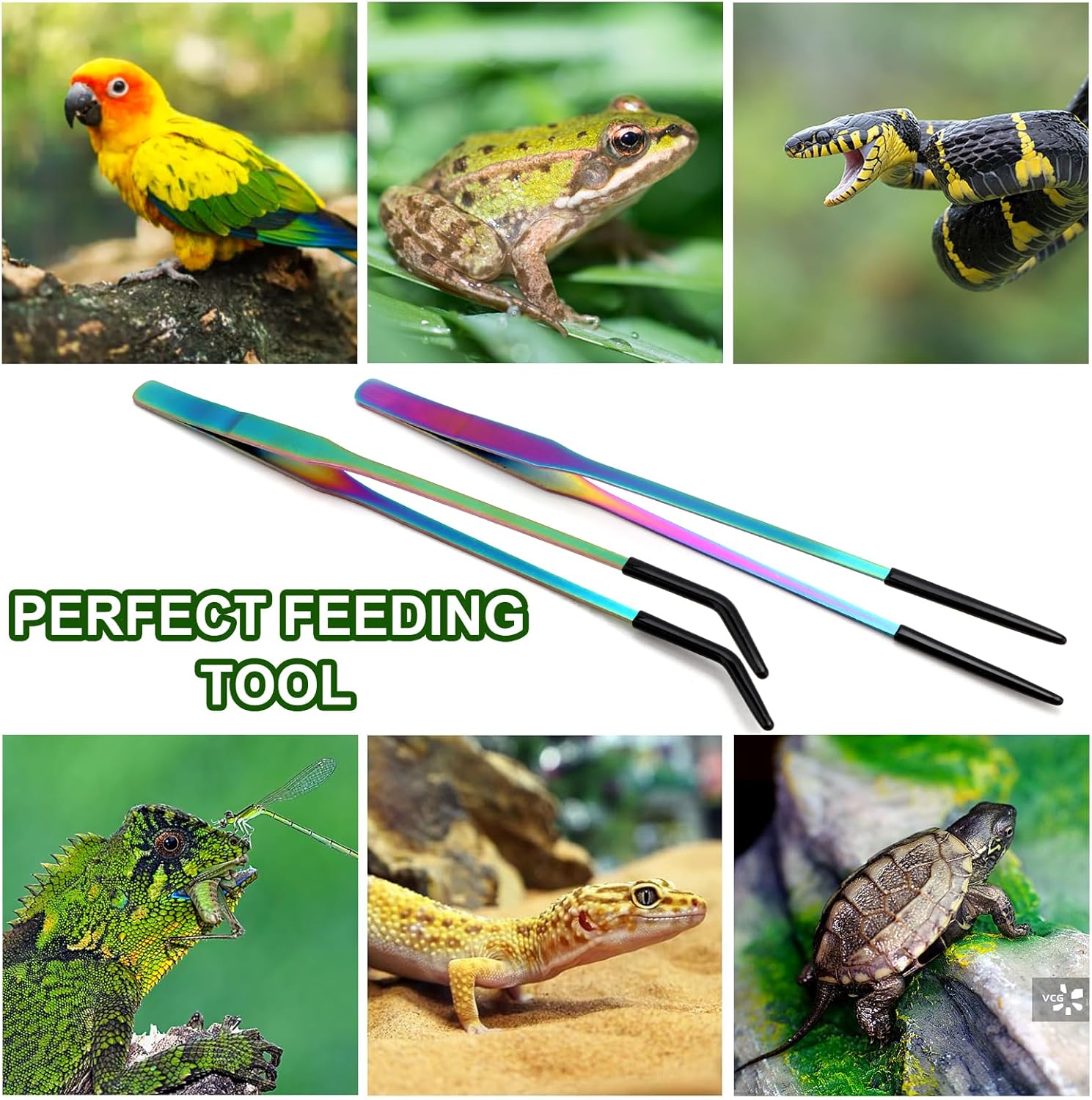 OLIISS Stainless Steel Reptile Feeding Tongs with Rubber Tip - 10.6" Straight & Curved Tweezers for Aquariums & Crafts - Feeder Tools for Bearded Dragons & Lizards - Terrarium Tank Supplies - 2 Pack - Image 7