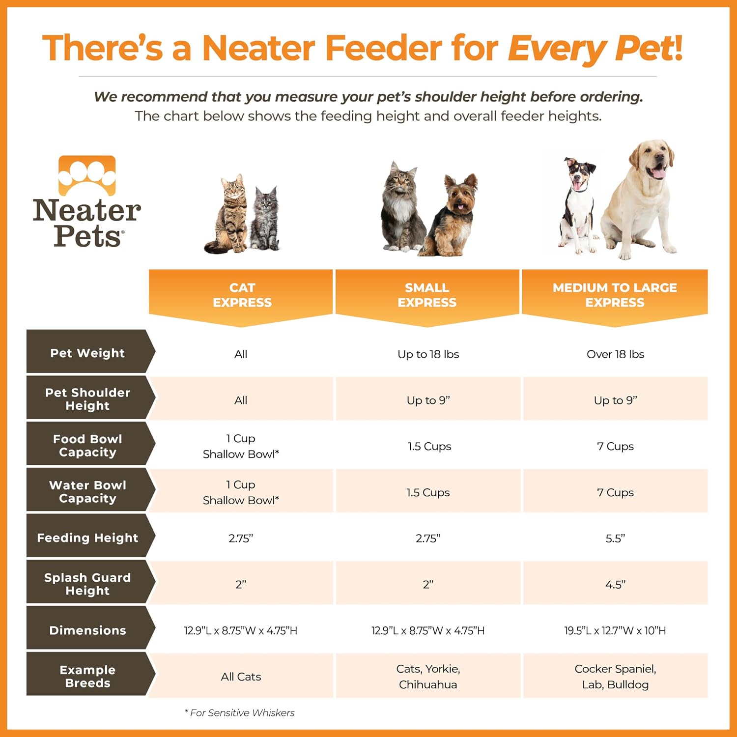 Neater Feeder Express Mess Proof Cat Bowls Elevated, No Spill Feeding Station, Stainless Steel Dishes for Food and Water, Raised Bowls for Indoor Cats, No Fatigue Whisker Friendly Dish, Grey - Image 7