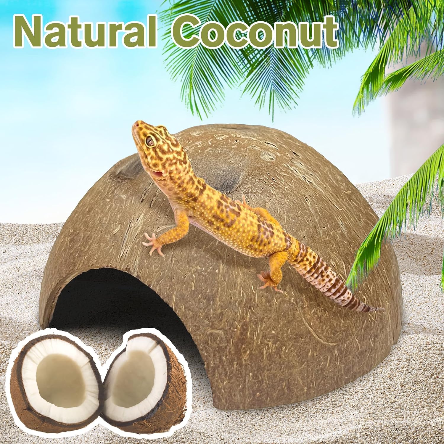 Hamiledyi 7 Pcs Reptile Hideouts Natural Coconut Shells Hut Leopard Gecko Tank Accessories for Aquarium Fish Hermit Crab Hide Cave Small Snake Tarantulas Lizard Chameleon (Without Fiber) - Image 6