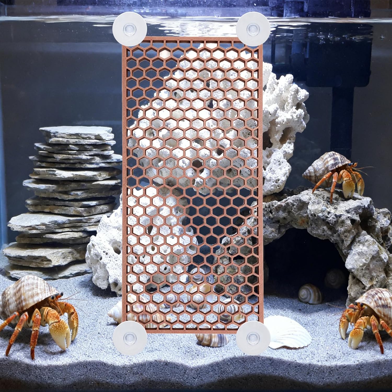 Hermit Crab Climbing Toy, Reptile Habitat Decor Exercise Playground Hermit Crab Accessories for Tank and Aquarium Decoration (Brown) - Image 4