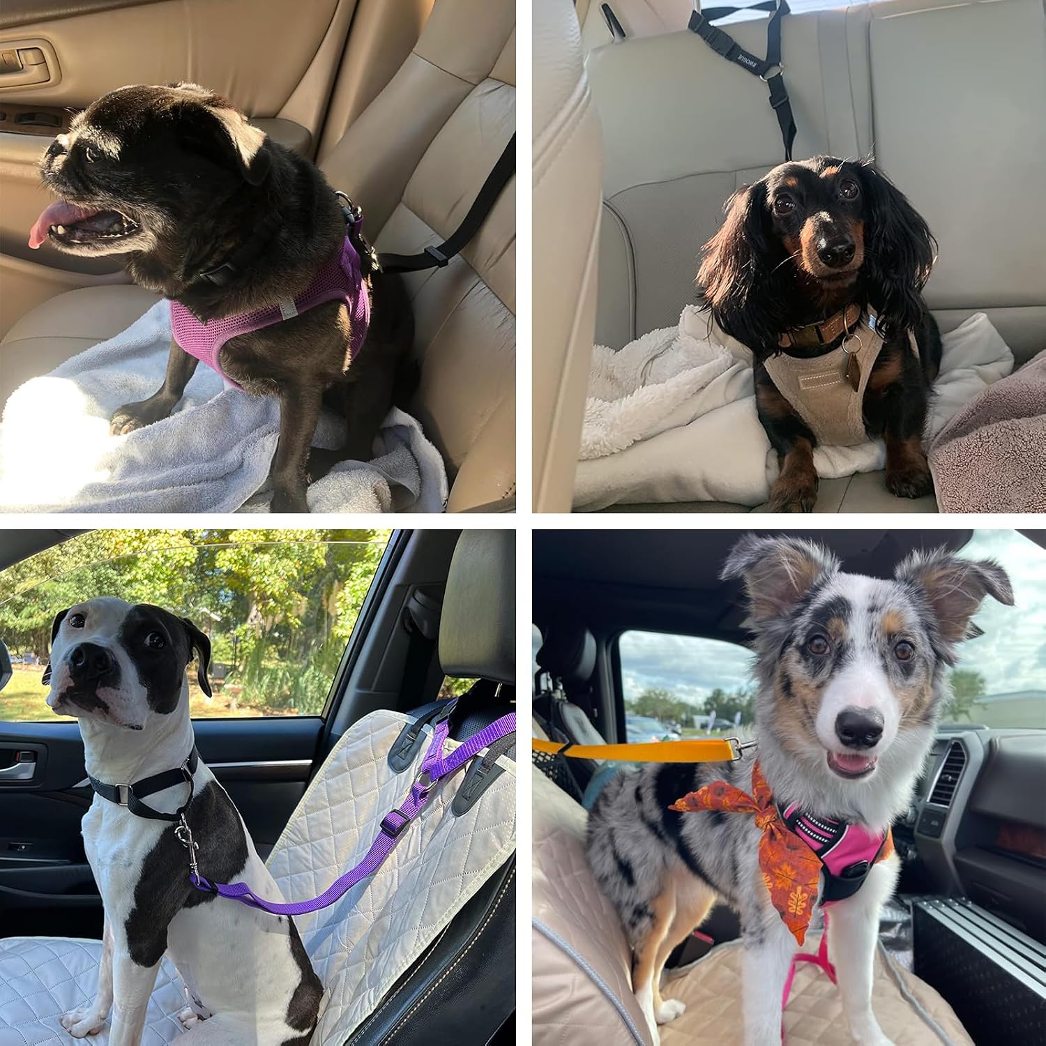 BWOGUE 2 Packs Dog Cat Safety Seat Belt Strap Car Headrest Restraint Adjustable Nylon Fabric Dog Restraints Vehicle Seatbelts Harness - Image 7