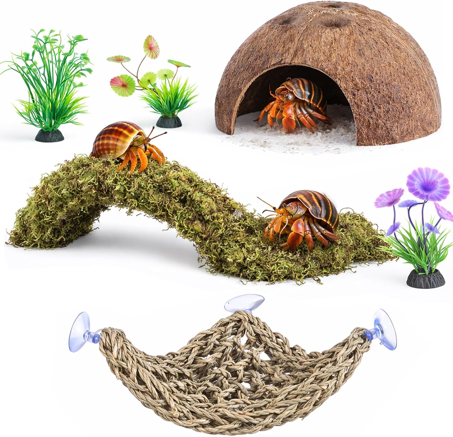 HERCCOCCI Hermit Crab Accessories, 6Pcs Hermit Crab Toys Coconut Shell Hut Climbing Hammock Artificial Plants for Hermit Crabs