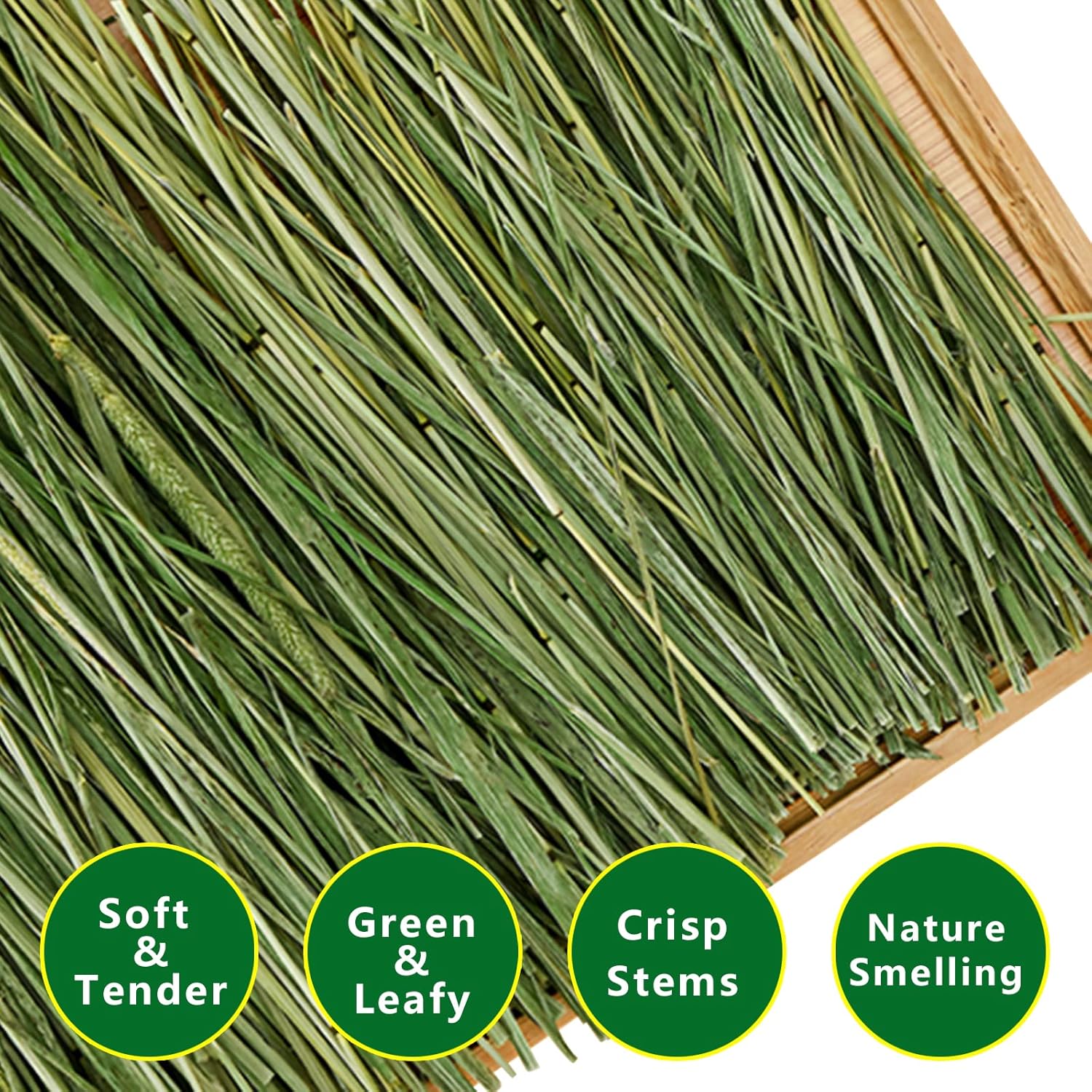 Timothy Hay, 1.1LB Small Pet Feed | Dust-free, natural fresh green hay, suitable for rabbits, guinea pigs, chinchillas, tortoises - Image 3