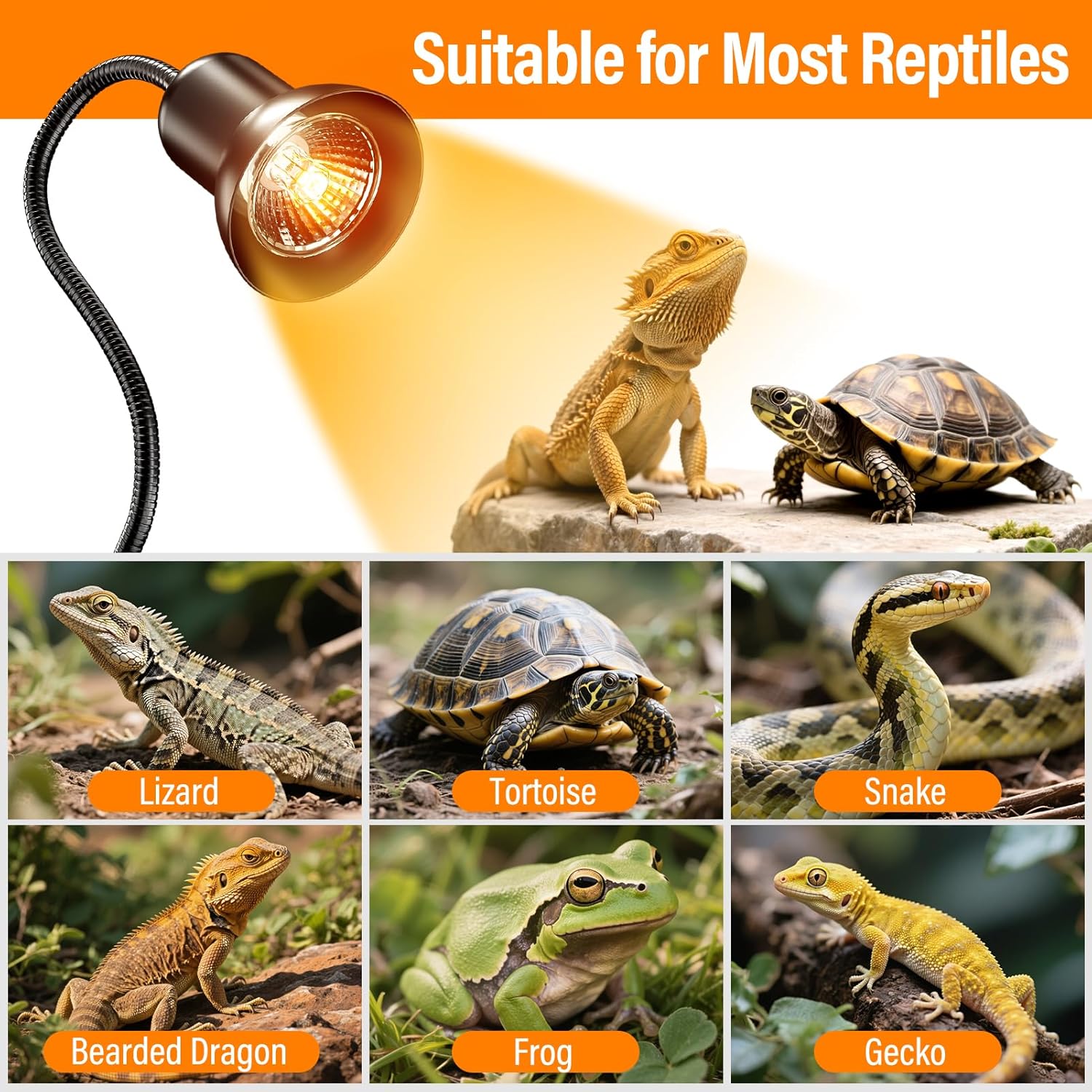 TFNN Reptile Heat Lamp, Heat Lamp with Clamp, UVA UVB Reptile Light with Intelligent Cycle Timer for Turtle, Bearded Dragon, Lizard and More, 2 Bulbs 50W+75W - Image 7
