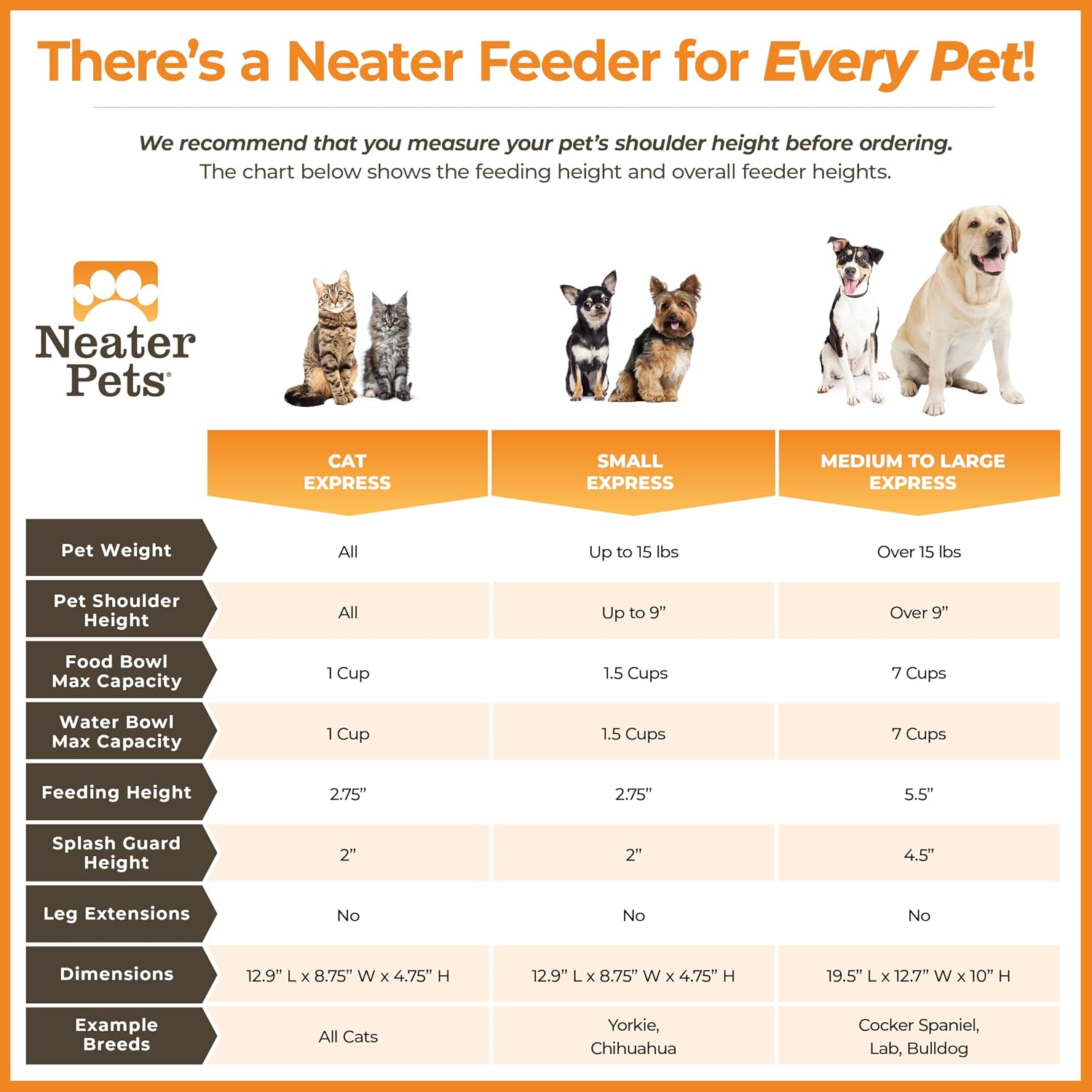 Neater Feeder Express Mess Proof Cat Bowls Elevated, No Spill Feeding Station, Stainless Steel Dishes for Food and Water, Raised Bowls for Indoor Cats, No Fatigue Whisker Friendly Dish, Grey - Image 9