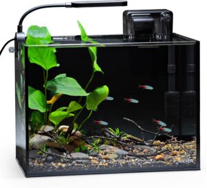 NICREW 2.5 Gallon Nano Nature Aquar...