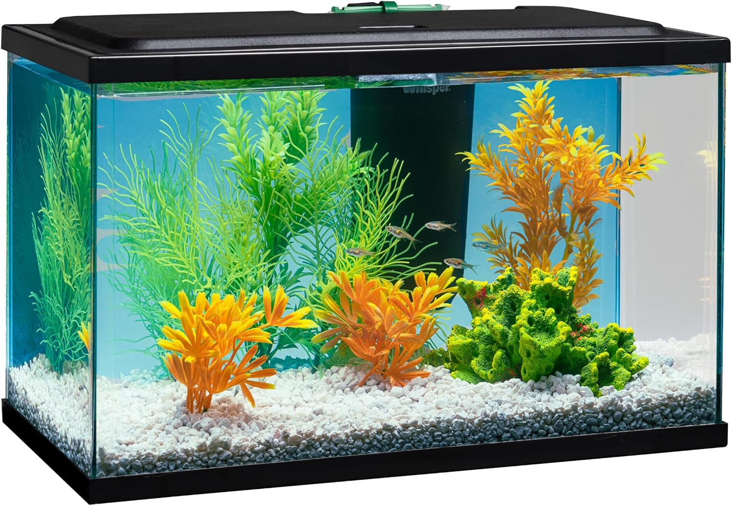 Tetra Whisper Bio-Bag Medium Filter Cartridges for Aquariums, 3 Count, Ready to Use, Fits Tetra Whisper Fish Tank Filters 5-10 Gal, PF-10, IQ 10 - Image 10