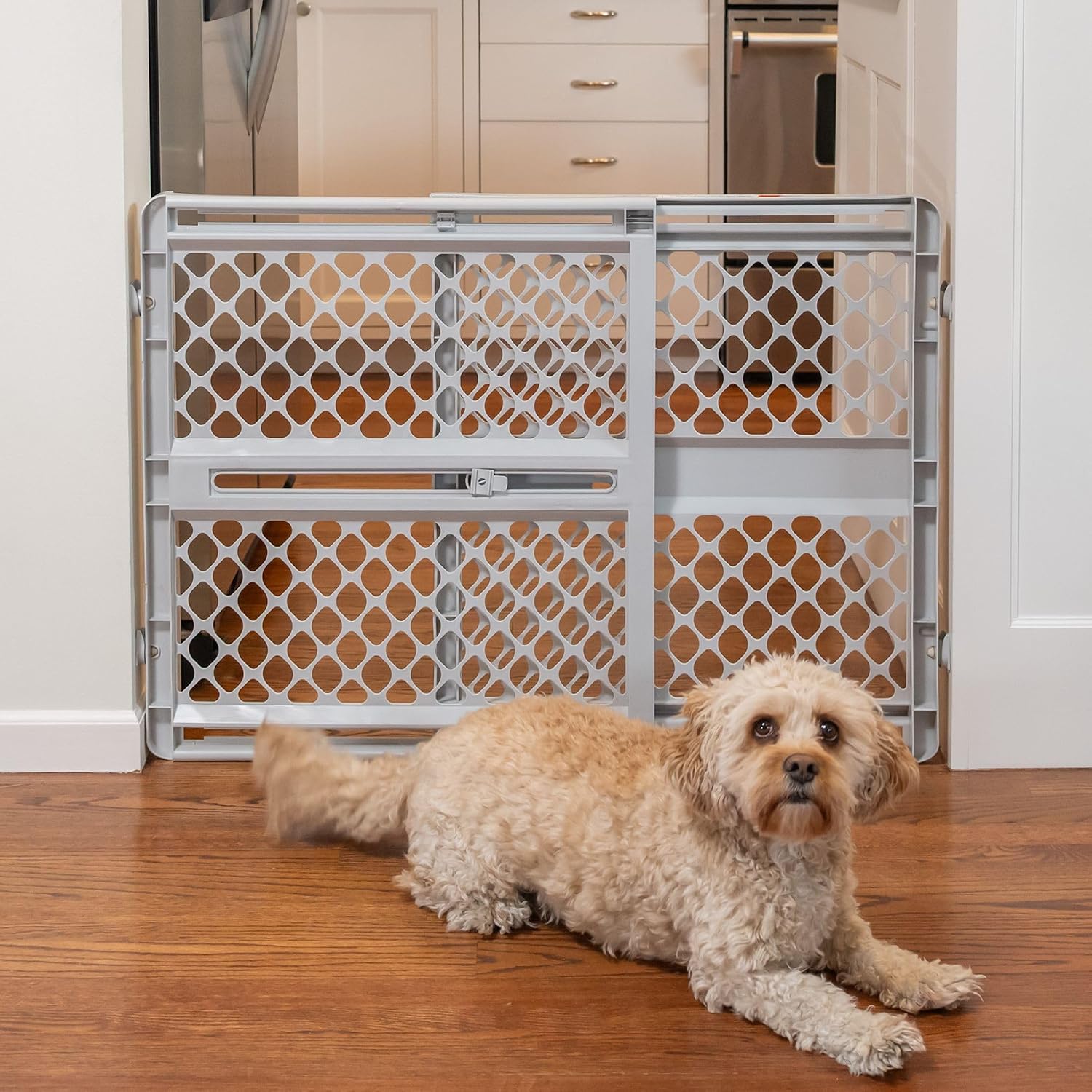 MYPET Universal Pet Gate: 26” - 42” Wide Dog Gate for Doorways with Pressure Fit or Swinging Door Hardware Mounting Types Included: 26" Tall; Gray - Image 8