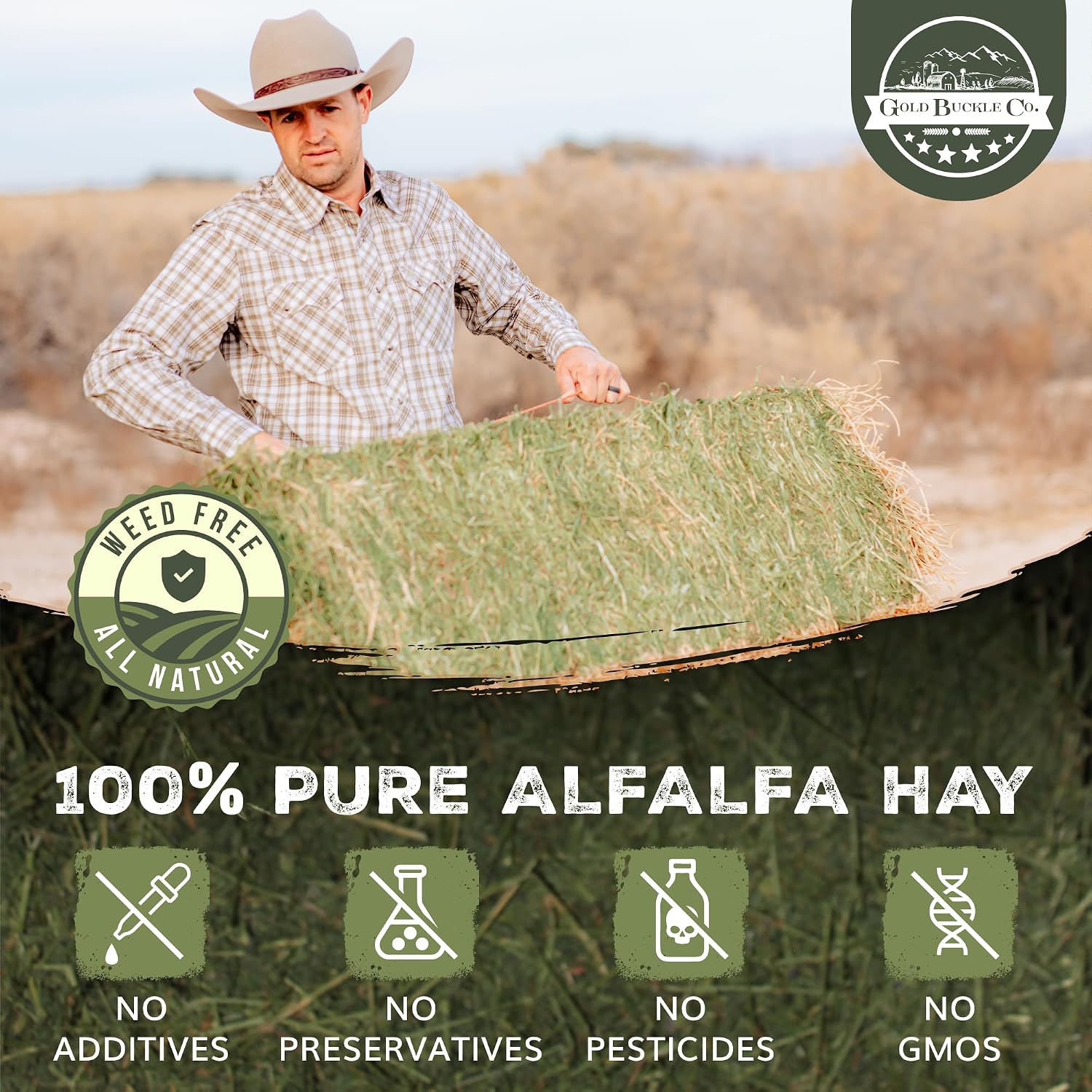 9lb Farm Fresh Alfalfa Hay for Rabbits, Guinea Pigs, Chinchillas, Goats, Hamsters & Ferrets - Organic Small Animal Food Rich in Protein & Fiber - Fresh Dried, Hand-Selected, USA Grown - Image 4
