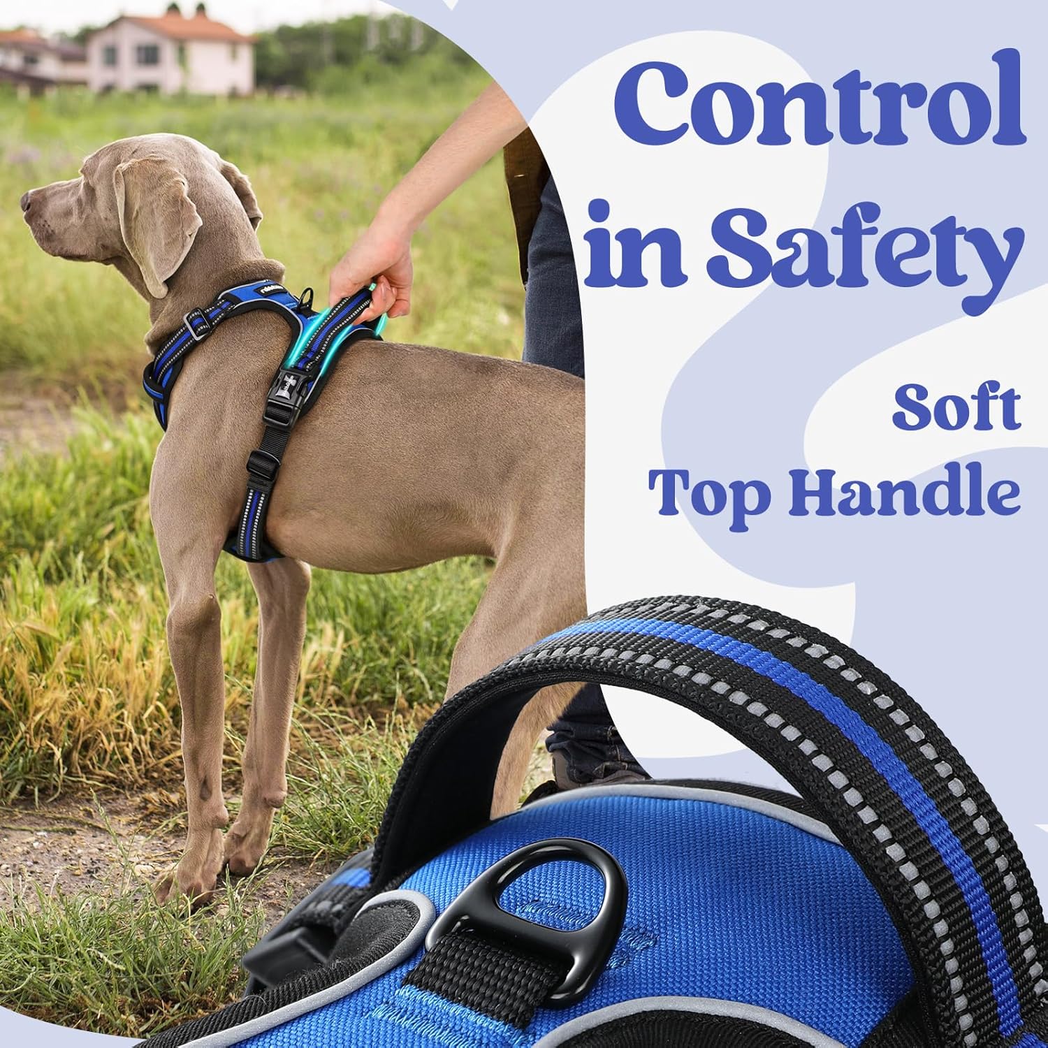 rabbitgoo Dog Harness for Large, No Pull Easy On & Off with 3 Buckles Pet Harness, Adjustable Soft Walking Vest with 2 Clips and Handle, Reflective for Large Dogs, Blue, L - Image 4