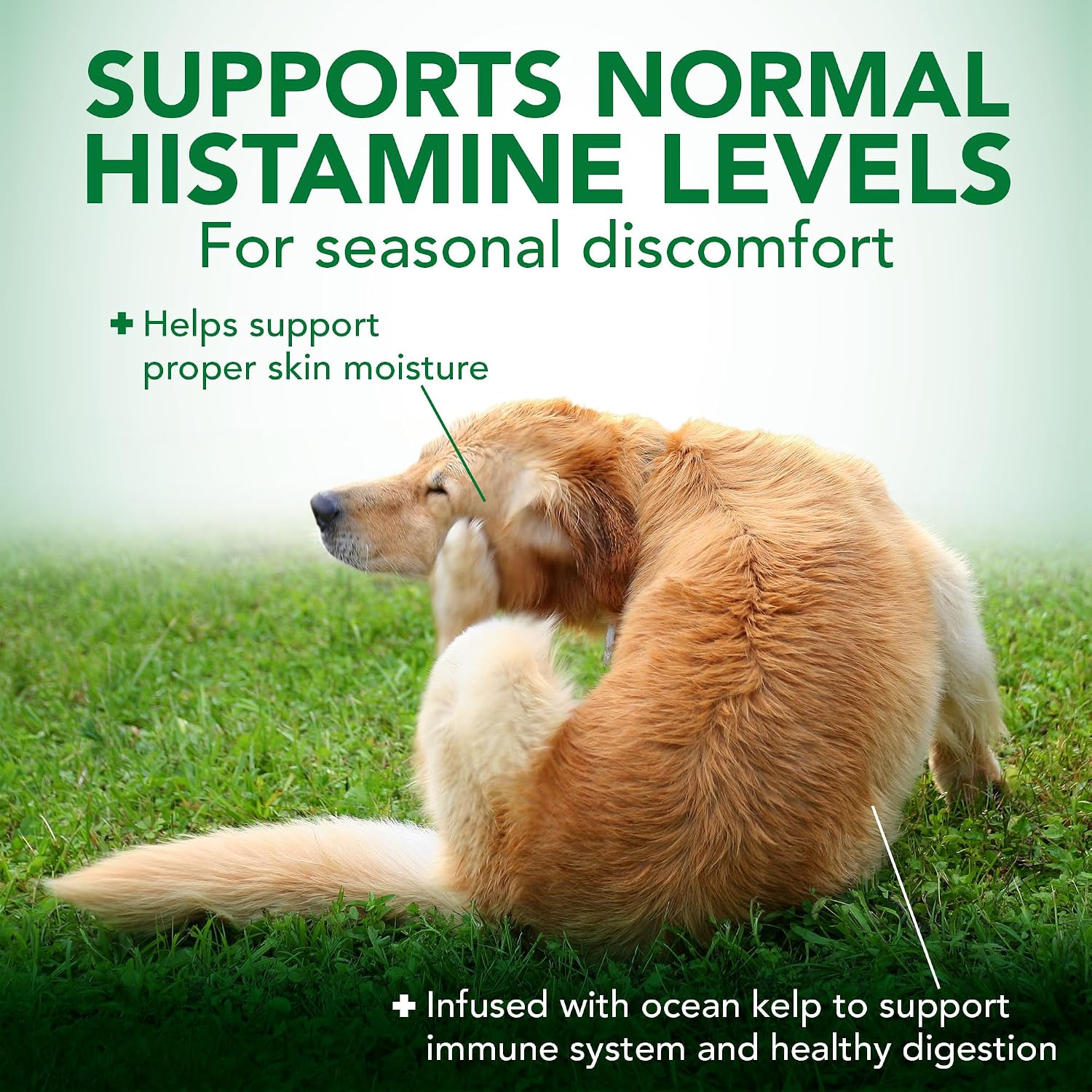 Vet's Best Seasonal Allergy Soft Chew Dog Supplements, Soothes Dogs Skin Irritation Due to Seasonal Allergies, 30 Day Supply - Image 2