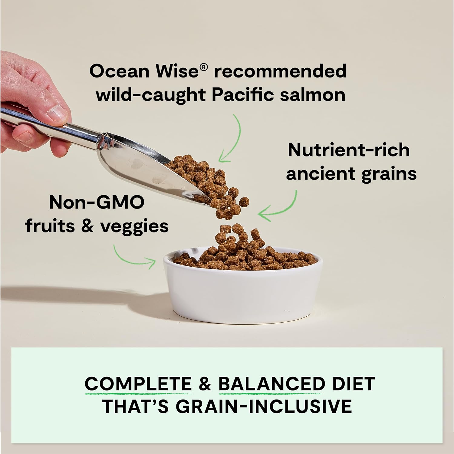Open Farm, Ancient Grains Dry Dog Food, Protein-Rich & Nutrient Dense, 90% Animal Protein Mixed with Non-GMO Fruits, Veggies and Superfoods, Wild Caught Salmon Recipe, 22lb Bag - Image 2