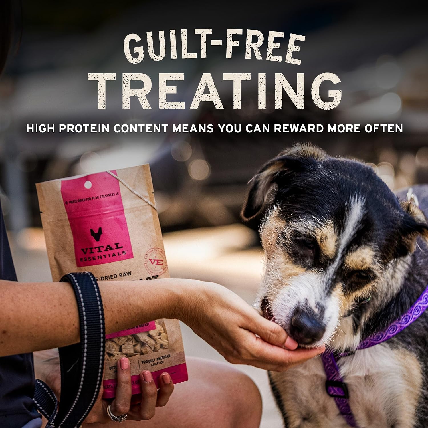 Vital Essentials Freeze Dried Minnows Dog Treats | Single Ingredient | Premium Quality | Grain Free Treats for Dogs, 1 oz Bag - Image 6